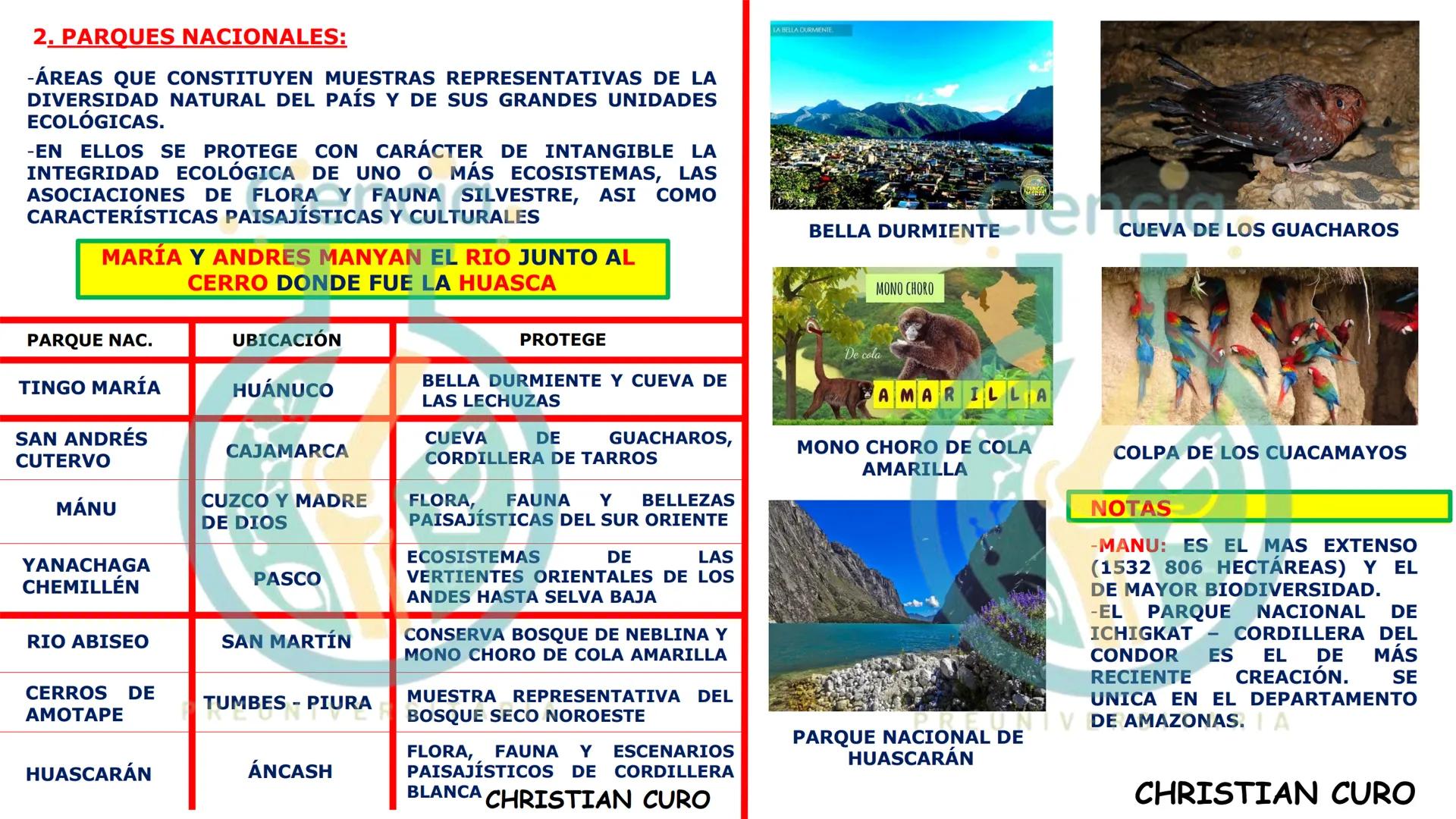 # ecología
CON CHRISTIAN CURO
.Ciencia.
PREUNIVERSITARIA
VESALIUS --- OCR Start ---
ECOLOGÍA
ESTUDIA Y DESCRIBE LAS INTERRELACIONES DE
L