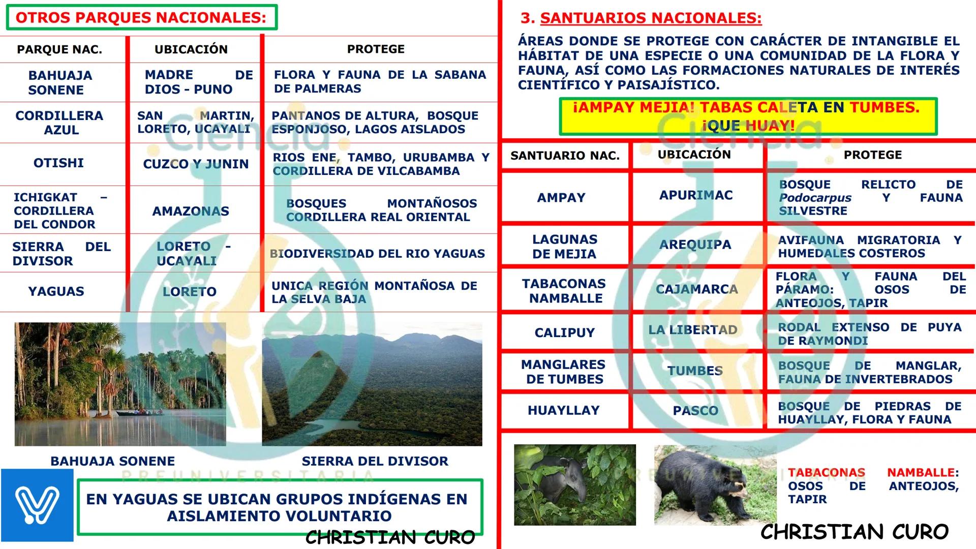 # ecología
CON CHRISTIAN CURO
.Ciencia.
PREUNIVERSITARIA
VESALIUS --- OCR Start ---
ECOLOGÍA
ESTUDIA Y DESCRIBE LAS INTERRELACIONES DE
L