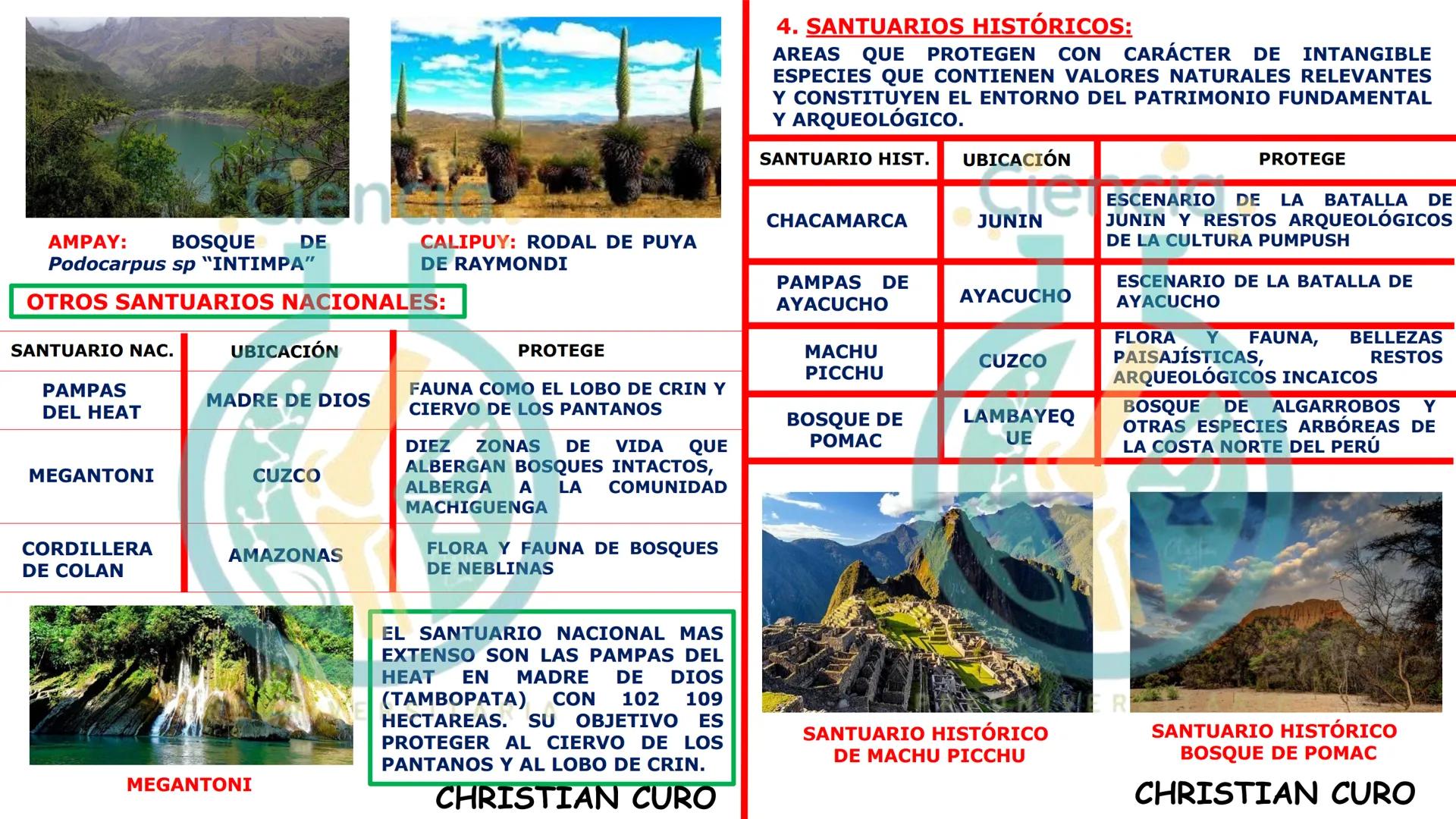 # ecología
CON CHRISTIAN CURO
.Ciencia.
PREUNIVERSITARIA
VESALIUS --- OCR Start ---
ECOLOGÍA
ESTUDIA Y DESCRIBE LAS INTERRELACIONES DE
L