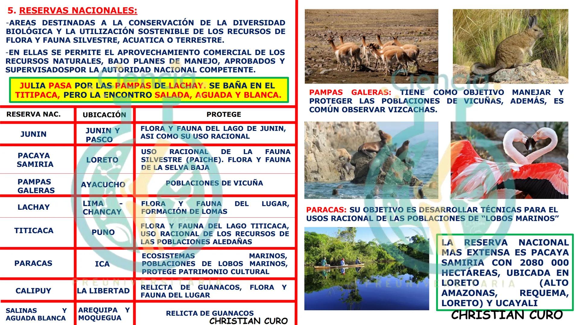 # ecología
CON CHRISTIAN CURO
.Ciencia.
PREUNIVERSITARIA
VESALIUS --- OCR Start ---
ECOLOGÍA
ESTUDIA Y DESCRIBE LAS INTERRELACIONES DE
L