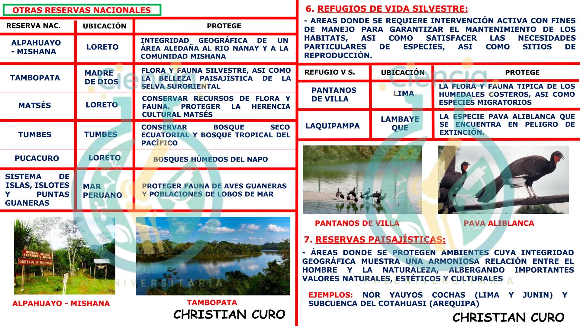 # ecología
CON CHRISTIAN CURO
.Ciencia.
PREUNIVERSITARIA
VESALIUS --- OCR Start ---
ECOLOGÍA
ESTUDIA Y DESCRIBE LAS INTERRELACIONES DE
L