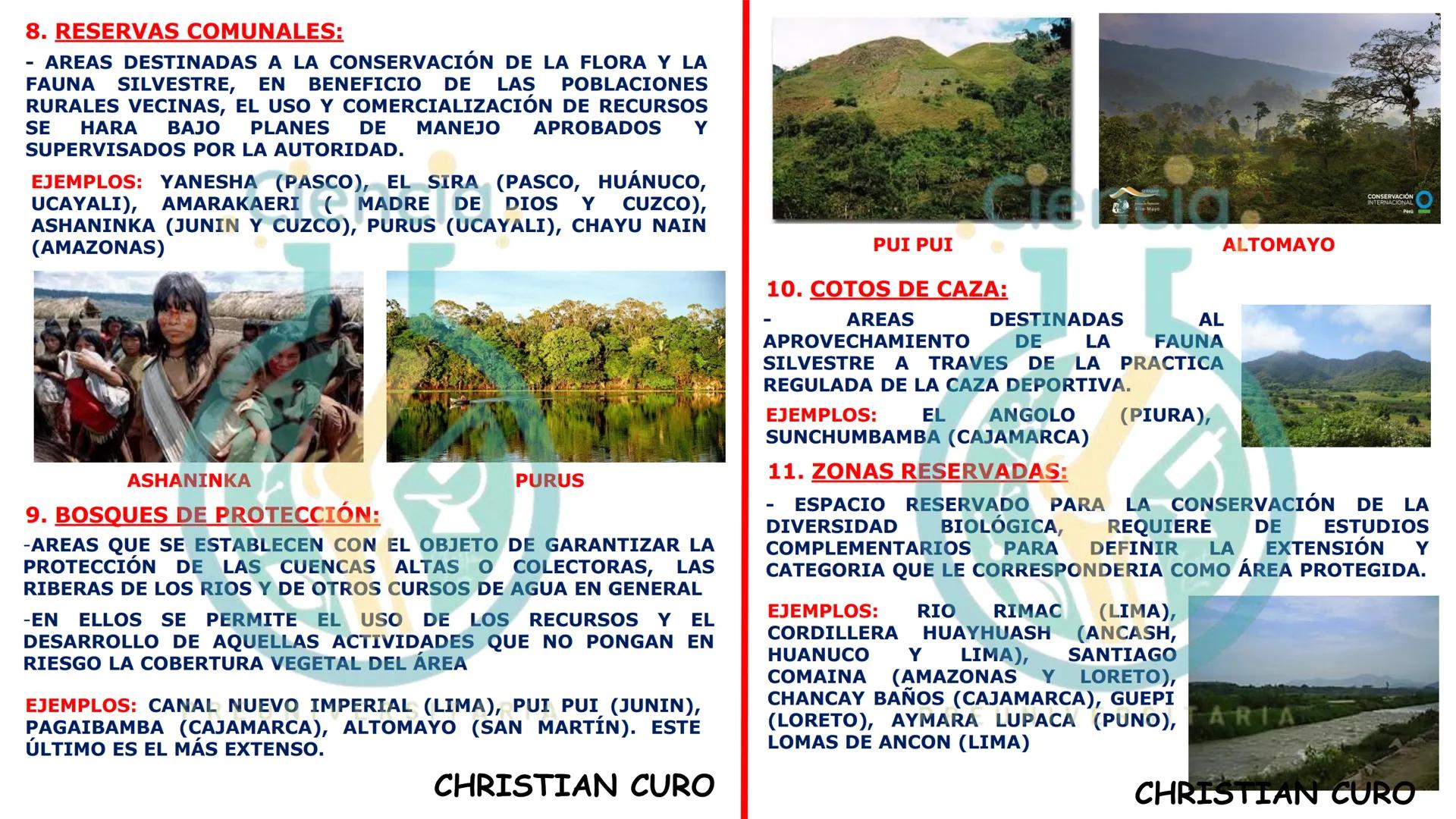 # ecología
CON CHRISTIAN CURO
.Ciencia.
PREUNIVERSITARIA
VESALIUS --- OCR Start ---
ECOLOGÍA
ESTUDIA Y DESCRIBE LAS INTERRELACIONES DE
L