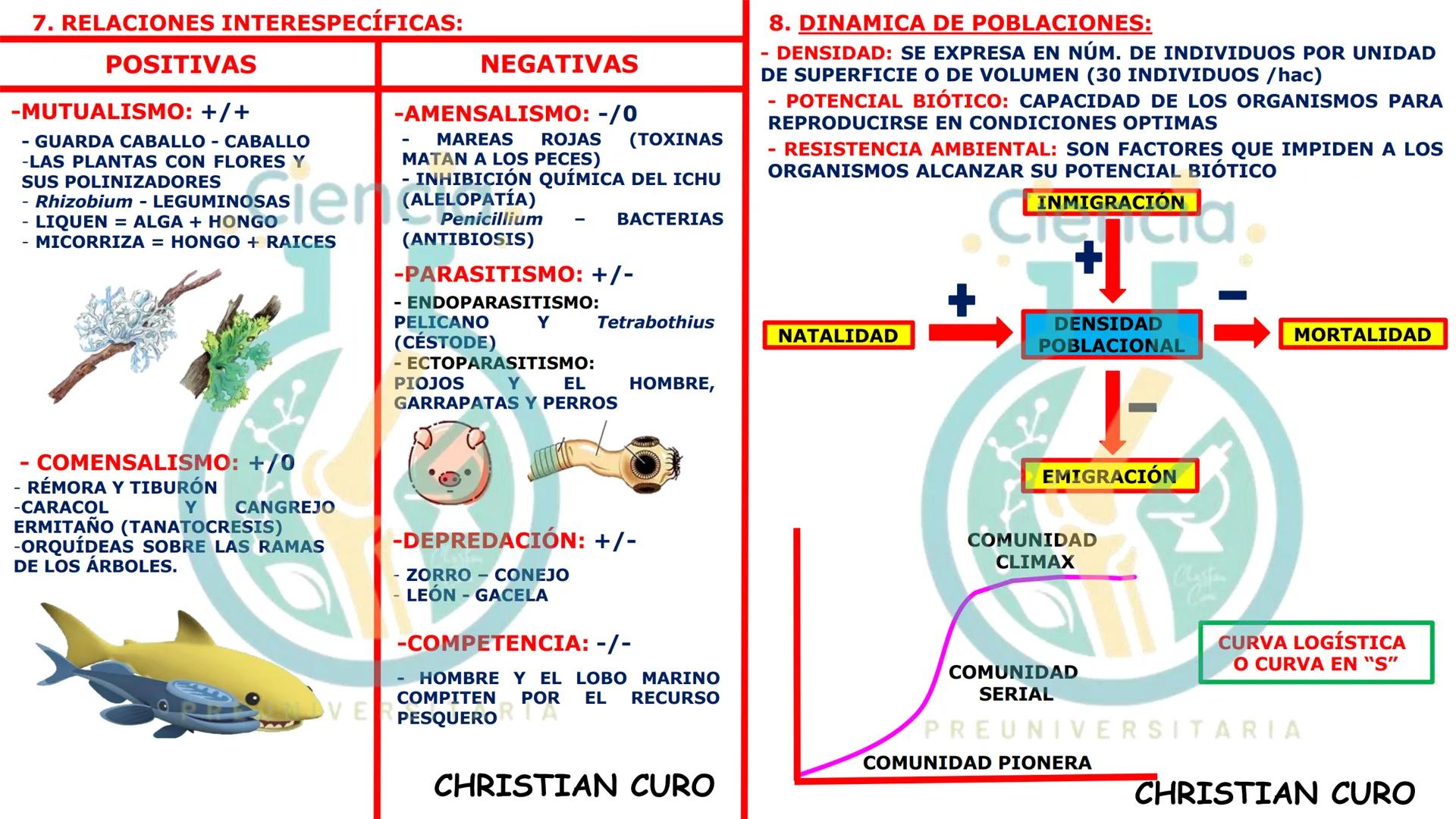 # ecología
CON CHRISTIAN CURO
.Ciencia.
PREUNIVERSITARIA
VESALIUS --- OCR Start ---
ECOLOGÍA
ESTUDIA Y DESCRIBE LAS INTERRELACIONES DE
L