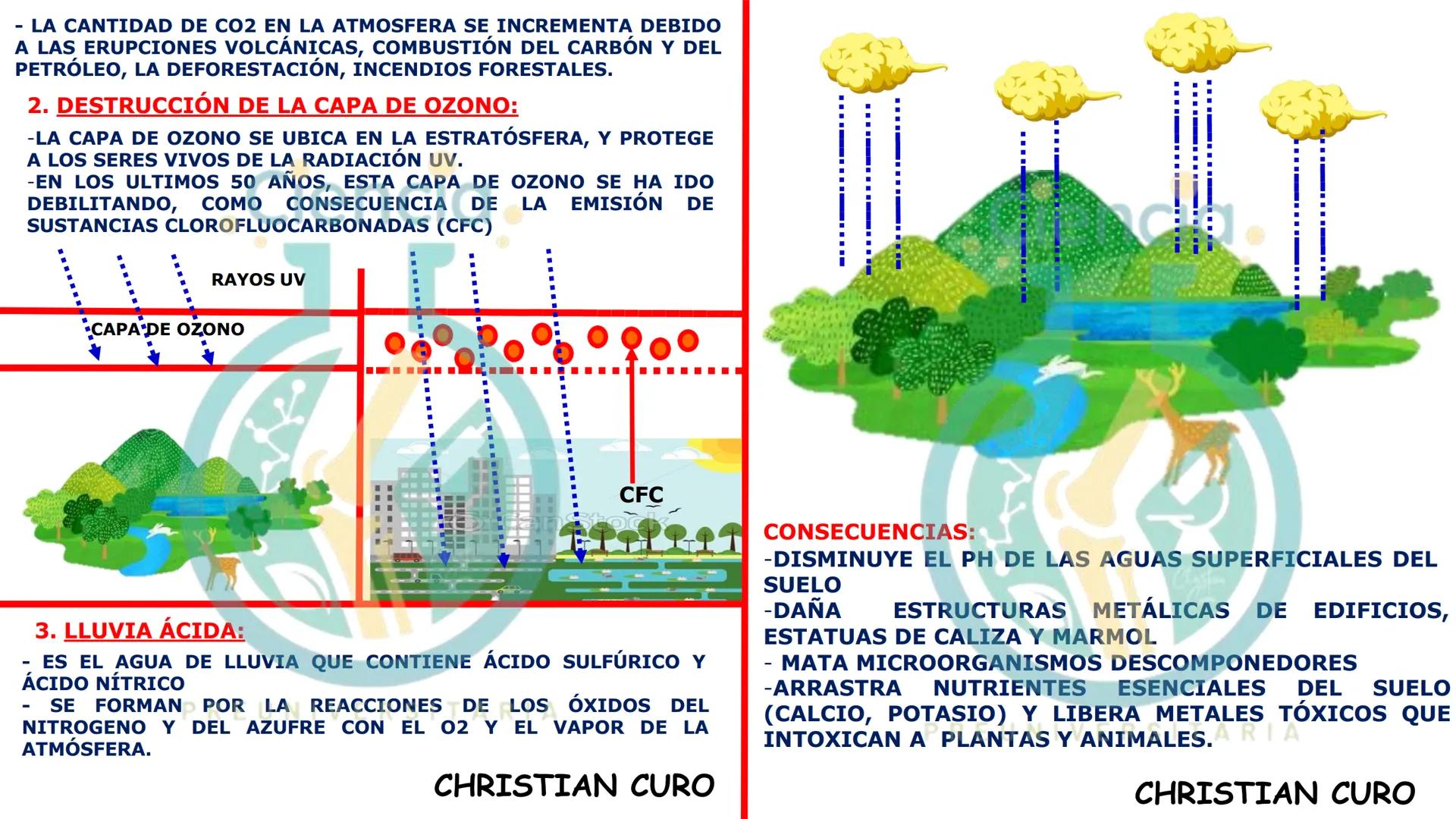 # ecología
CON CHRISTIAN CURO
.Ciencia.
PREUNIVERSITARIA
VESALIUS --- OCR Start ---
ECOLOGÍA
ESTUDIA Y DESCRIBE LAS INTERRELACIONES DE
L