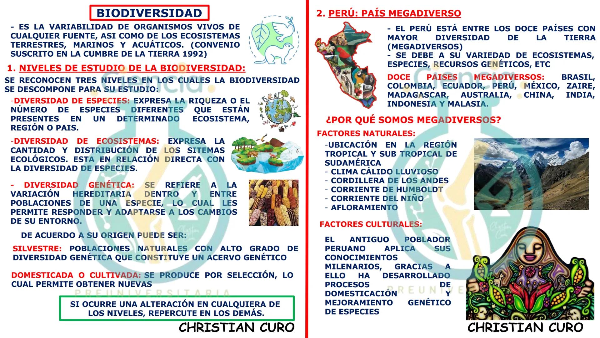 # ecología
CON CHRISTIAN CURO
.Ciencia.
PREUNIVERSITARIA
VESALIUS --- OCR Start ---
ECOLOGÍA
ESTUDIA Y DESCRIBE LAS INTERRELACIONES DE
L