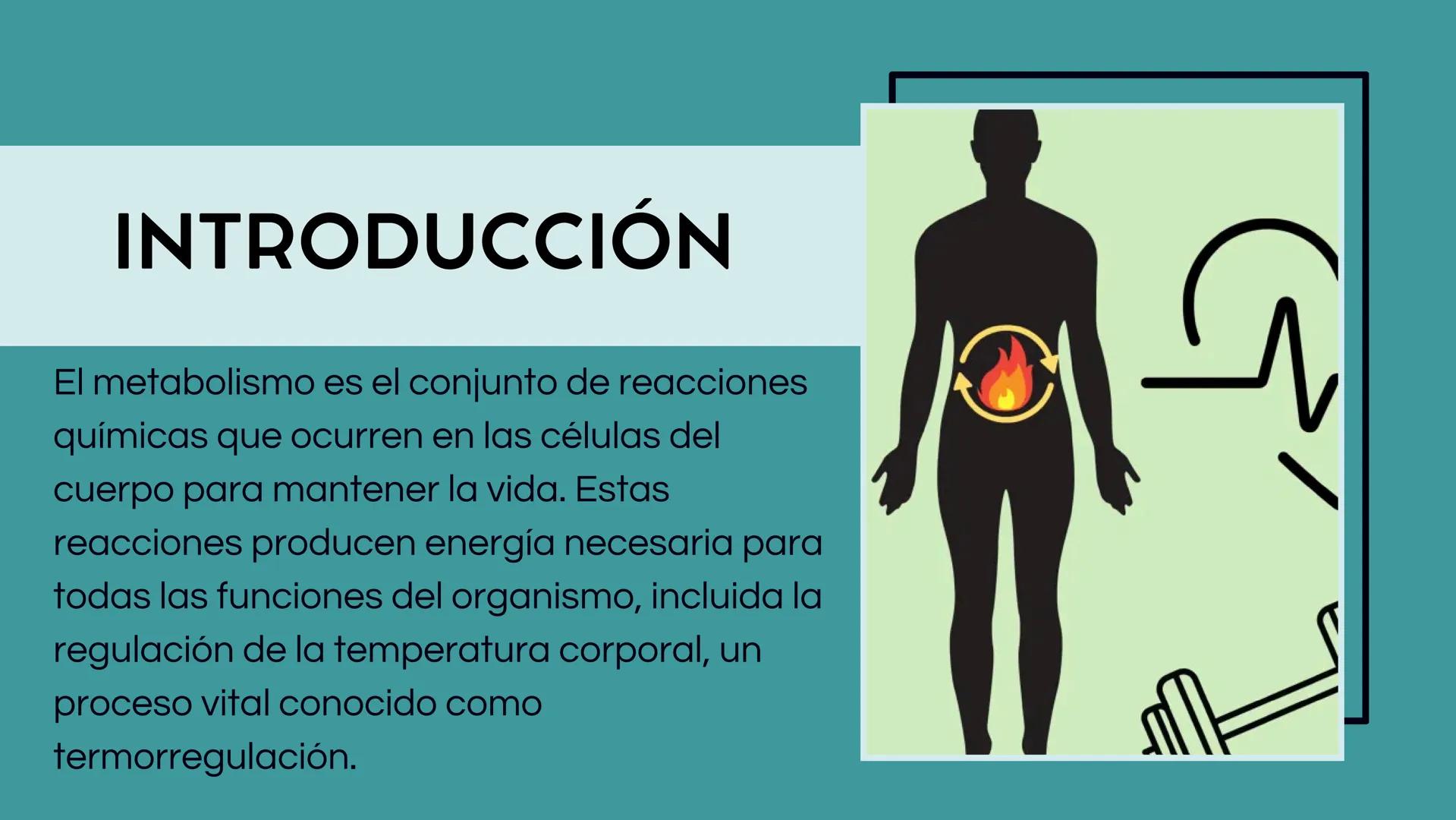 # PROCESO
# METABÓLICO Y
# REGULACIÓN DE
# LA
# TEMPERATURA
# CORPORAL # INTRODUCCIÓN
El metabolismo es el conjunto de reacciones
químicas