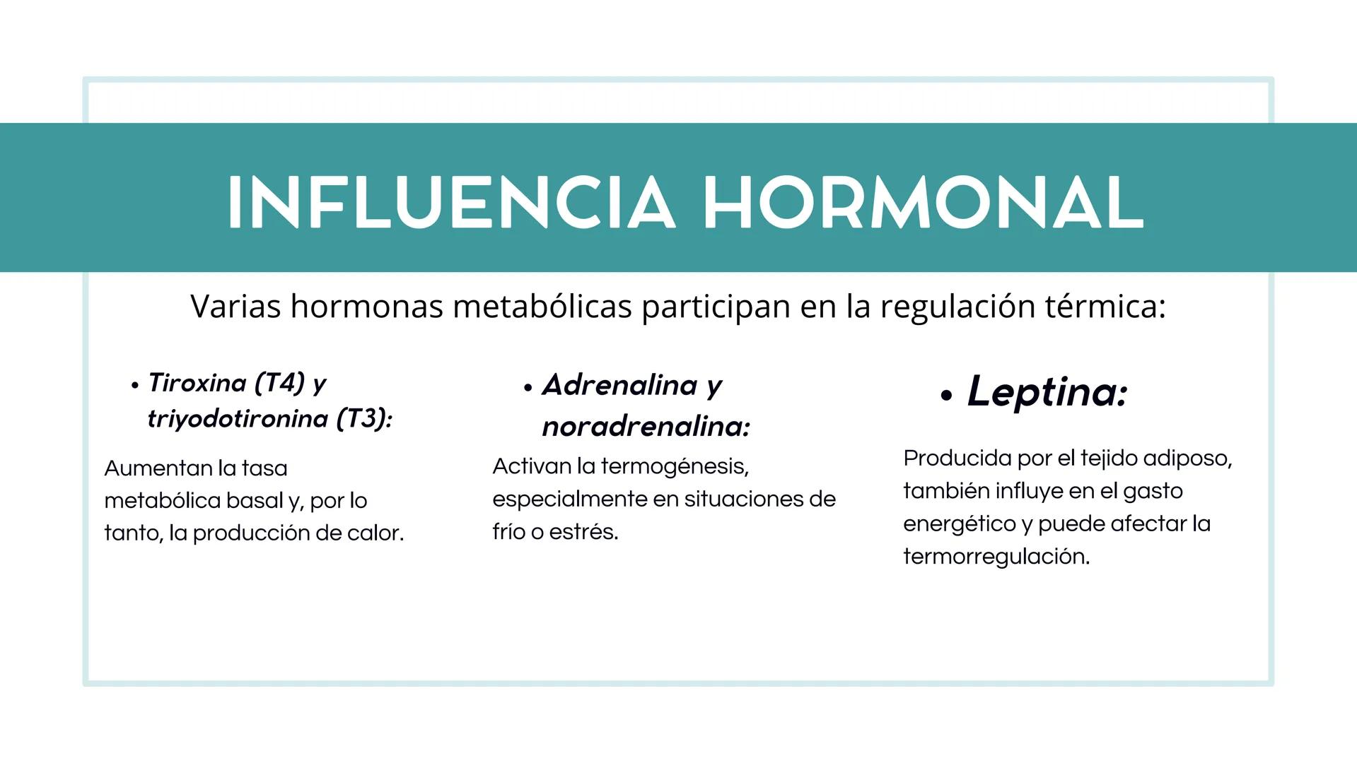 # PROCESO
# METABÓLICO Y
# REGULACIÓN DE
# LA
# TEMPERATURA
# CORPORAL # INTRODUCCIÓN
El metabolismo es el conjunto de reacciones
químicas