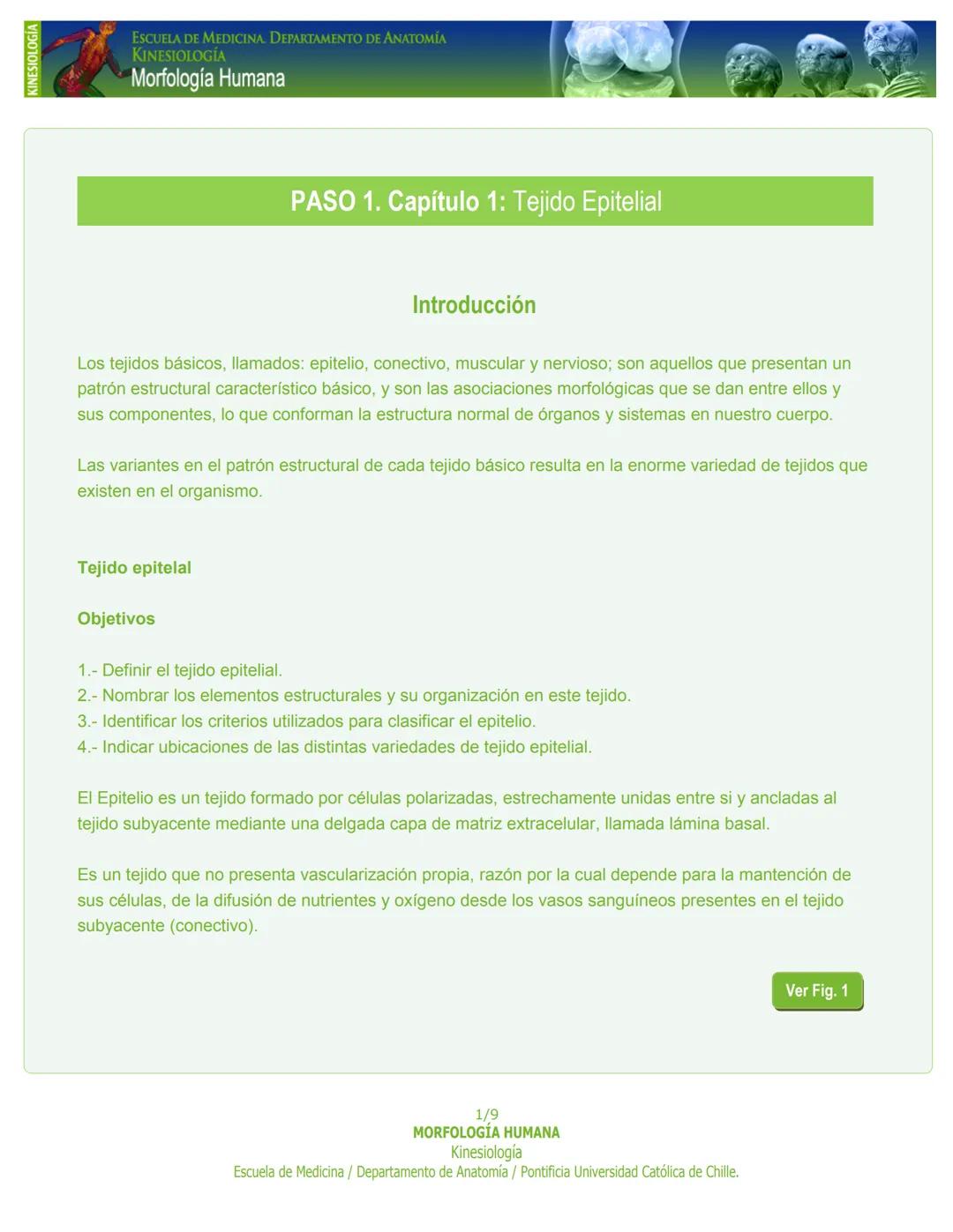 # KINESIOLOGÍA
ESCUELA DE MEDICINA. DEPARTAMENTO DE ANATOMIA
KINESIOLOGÍA
Morfología Humana
PASO 1. Capítulo 1: Tejido Epitelial
Introducc