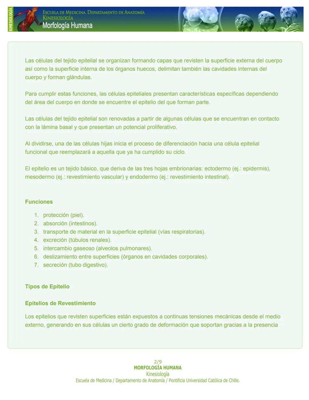 # KINESIOLOGÍA
ESCUELA DE MEDICINA. DEPARTAMENTO DE ANATOMIA
KINESIOLOGÍA
Morfología Humana
PASO 1. Capítulo 1: Tejido Epitelial
Introducc