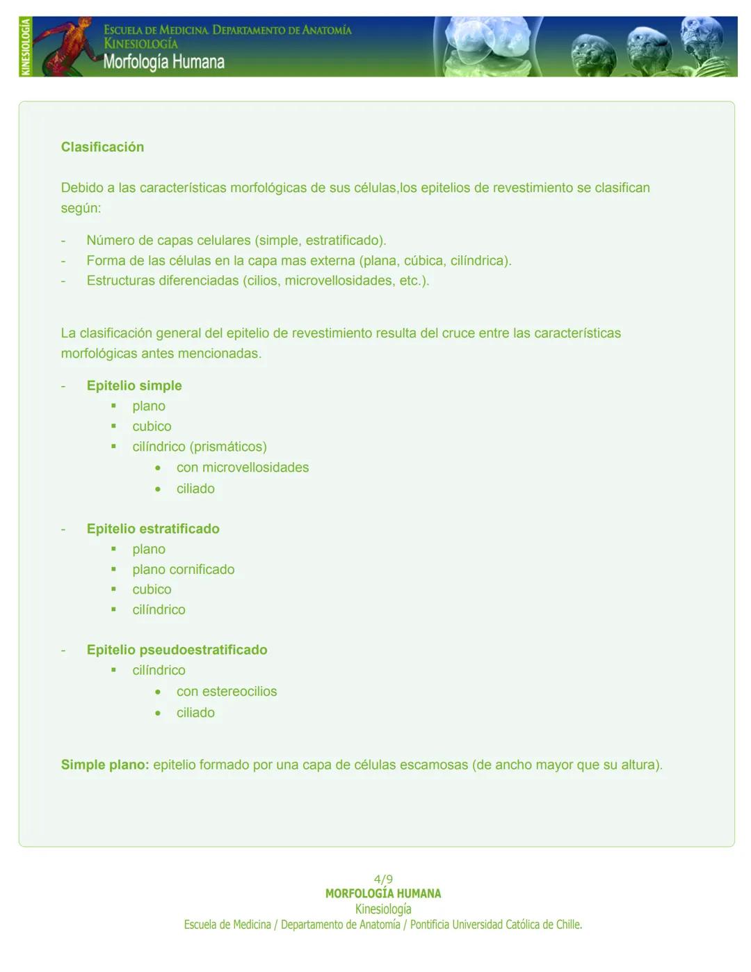 # KINESIOLOGÍA
ESCUELA DE MEDICINA. DEPARTAMENTO DE ANATOMIA
KINESIOLOGÍA
Morfología Humana
PASO 1. Capítulo 1: Tejido Epitelial
Introducc