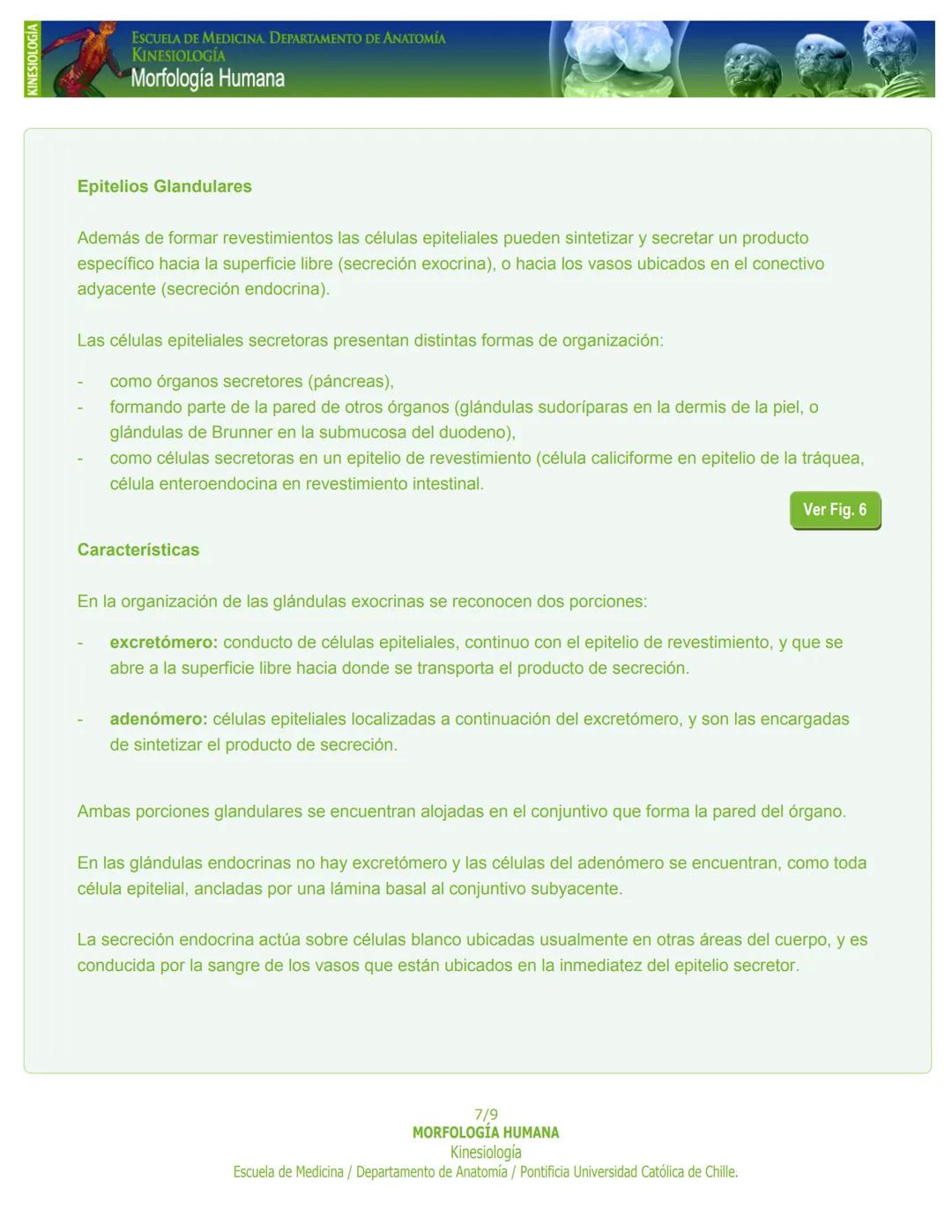 # KINESIOLOGÍA
ESCUELA DE MEDICINA. DEPARTAMENTO DE ANATOMIA
KINESIOLOGÍA
Morfología Humana
PASO 1. Capítulo 1: Tejido Epitelial
Introducc