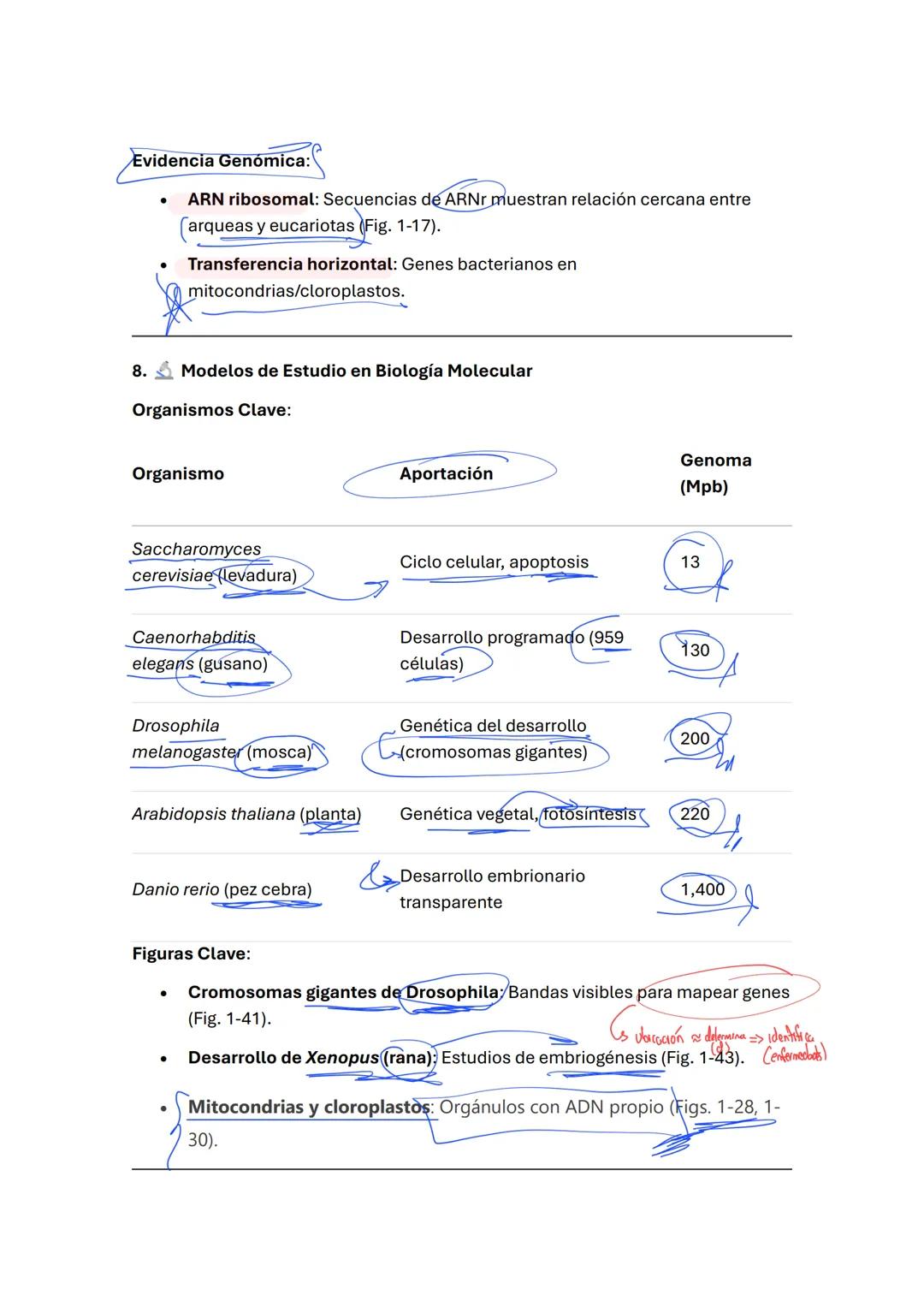 ***Mega Resumen: Células y Genomas
Actualizado y Ampliado
1. Información Hereditaria y Material Genético
ADN:
(doble h
azucar
Estructura: Do
