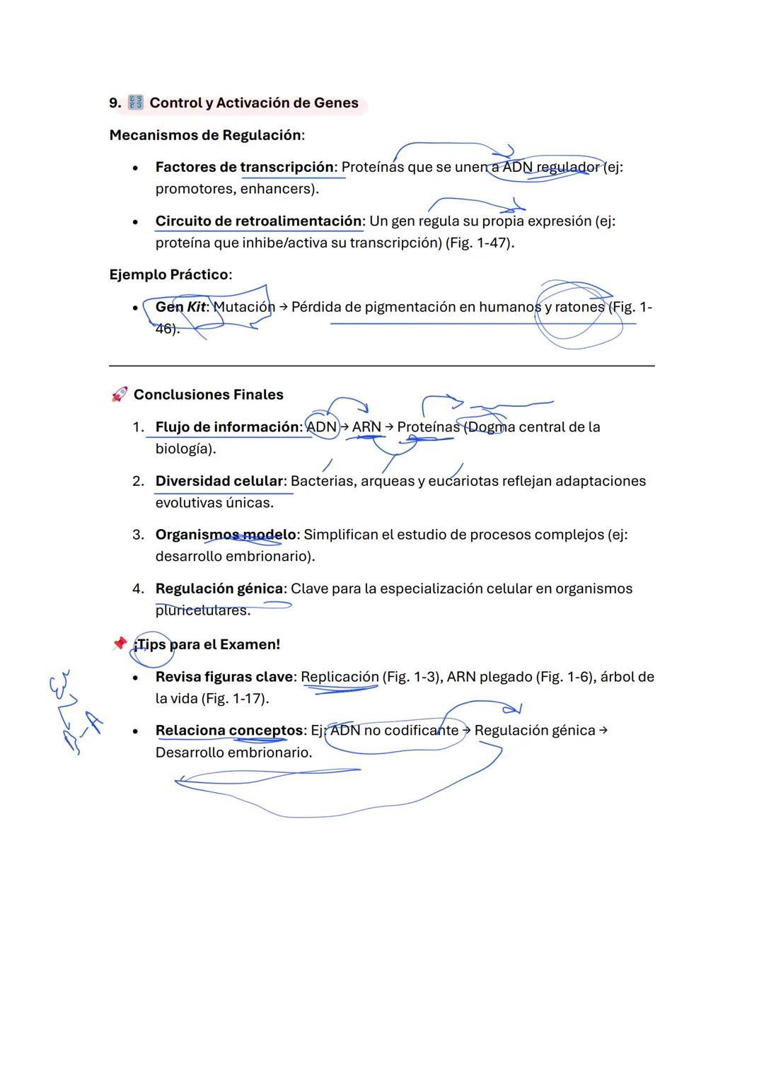 ***Mega Resumen: Células y Genomas
Actualizado y Ampliado
1. Información Hereditaria y Material Genético
ADN:
(doble h
azucar
Estructura: Do