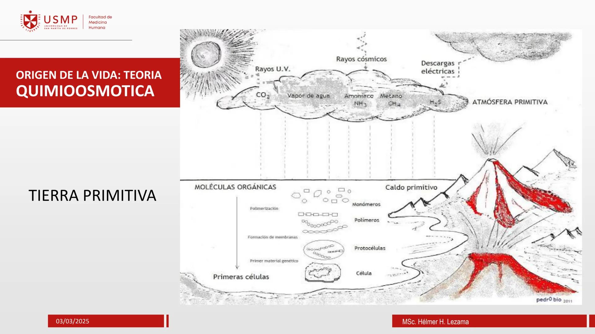 # ORIGEN DE LA VIDA, EVOLUCIÓN,
# NIVELES DE ORGANIZACIÓN Y
# CLASIFICACIÓN DE LOS SERES VIVOS
Introducción a la Biología
03/03/2025
Msc.