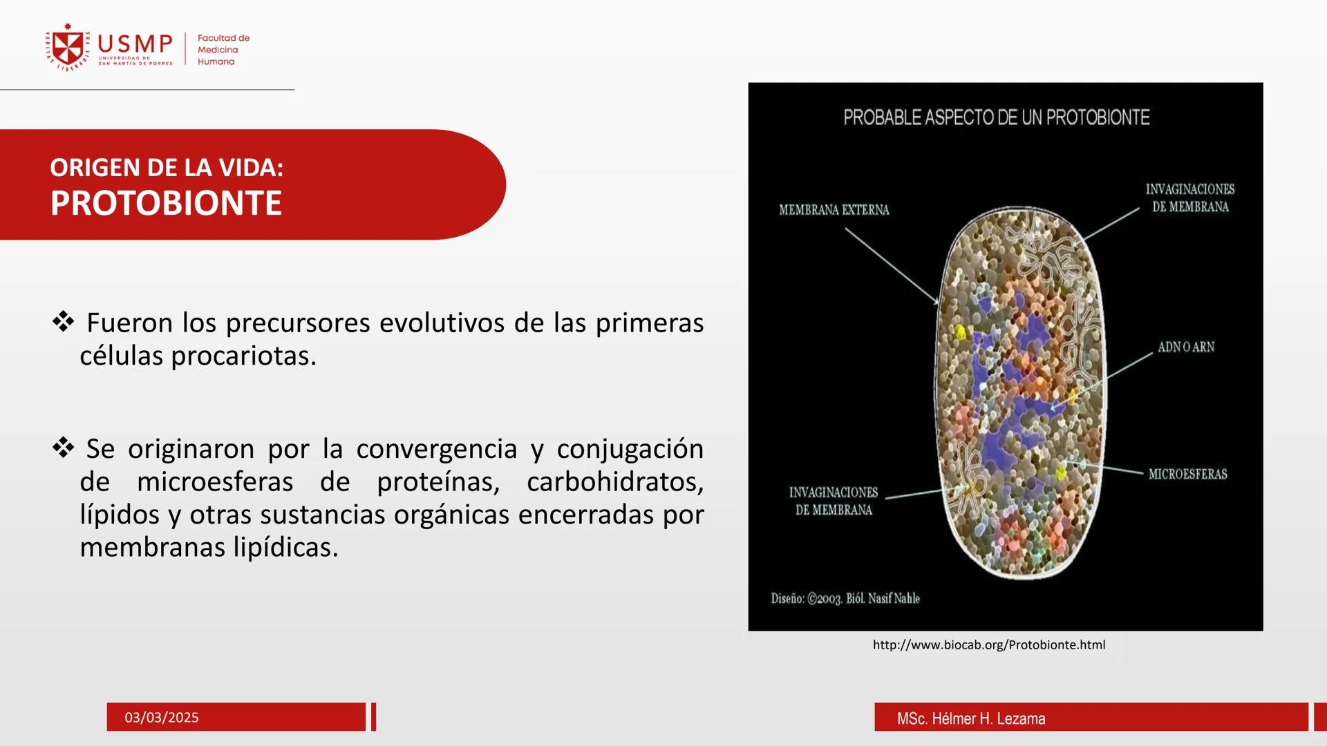 # ORIGEN DE LA VIDA, EVOLUCIÓN,
# NIVELES DE ORGANIZACIÓN Y
# CLASIFICACIÓN DE LOS SERES VIVOS
Introducción a la Biología
03/03/2025
Msc.
