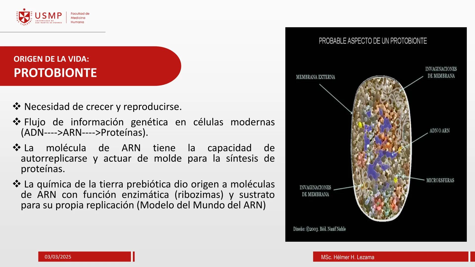 # ORIGEN DE LA VIDA, EVOLUCIÓN,
# NIVELES DE ORGANIZACIÓN Y
# CLASIFICACIÓN DE LOS SERES VIVOS
Introducción a la Biología
03/03/2025
Msc.