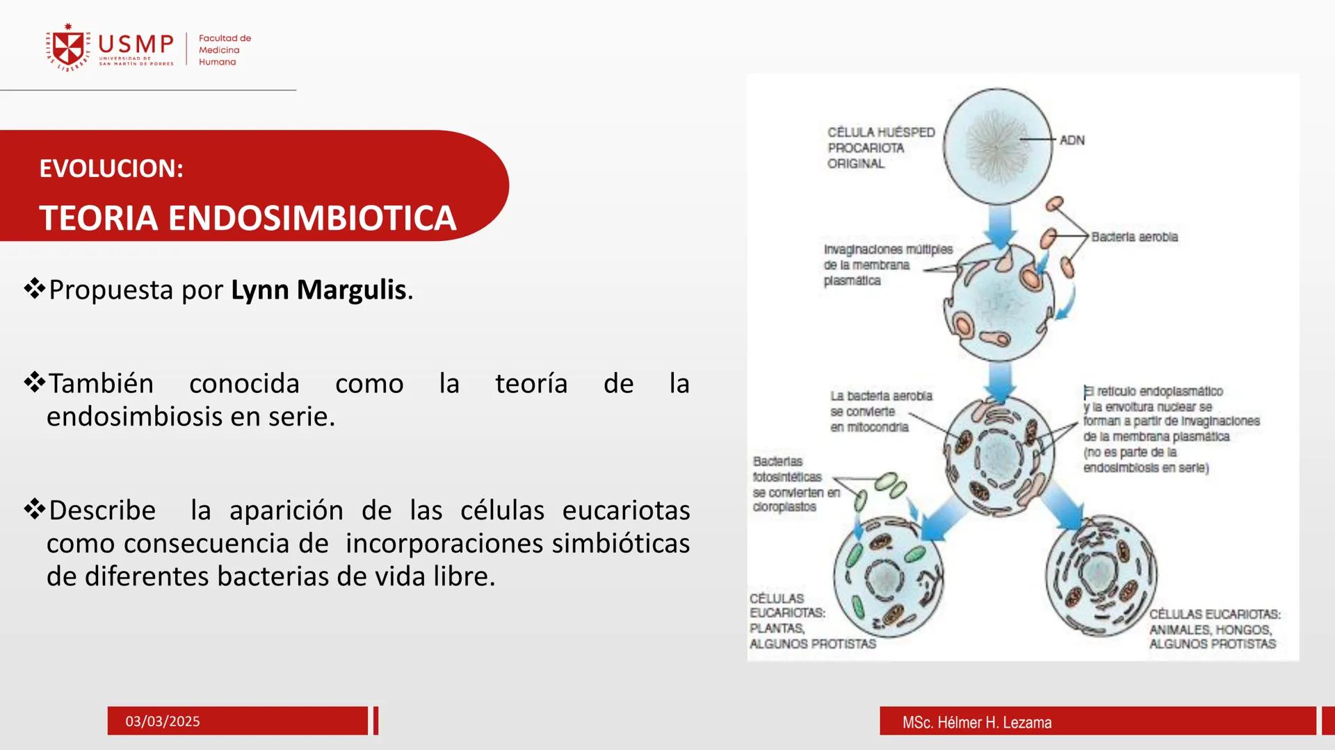 # ORIGEN DE LA VIDA, EVOLUCIÓN,
# NIVELES DE ORGANIZACIÓN Y
# CLASIFICACIÓN DE LOS SERES VIVOS
Introducción a la Biología
03/03/2025
Msc.