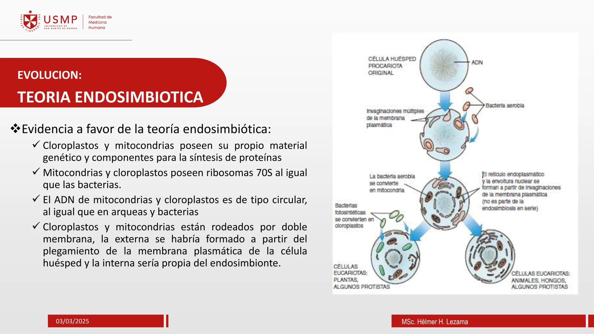 # ORIGEN DE LA VIDA, EVOLUCIÓN,
# NIVELES DE ORGANIZACIÓN Y
# CLASIFICACIÓN DE LOS SERES VIVOS
Introducción a la Biología
03/03/2025
Msc.