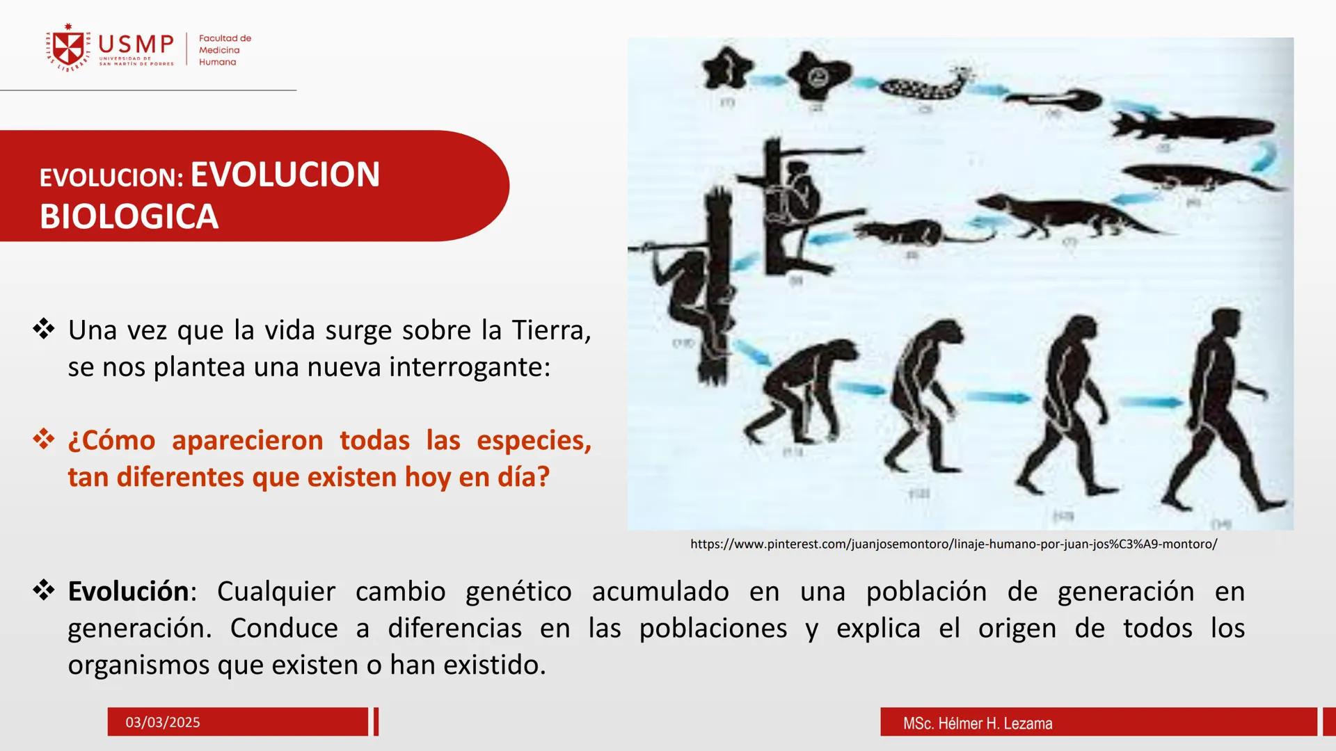 # ORIGEN DE LA VIDA, EVOLUCIÓN,
# NIVELES DE ORGANIZACIÓN Y
# CLASIFICACIÓN DE LOS SERES VIVOS
Introducción a la Biología
03/03/2025
Msc.