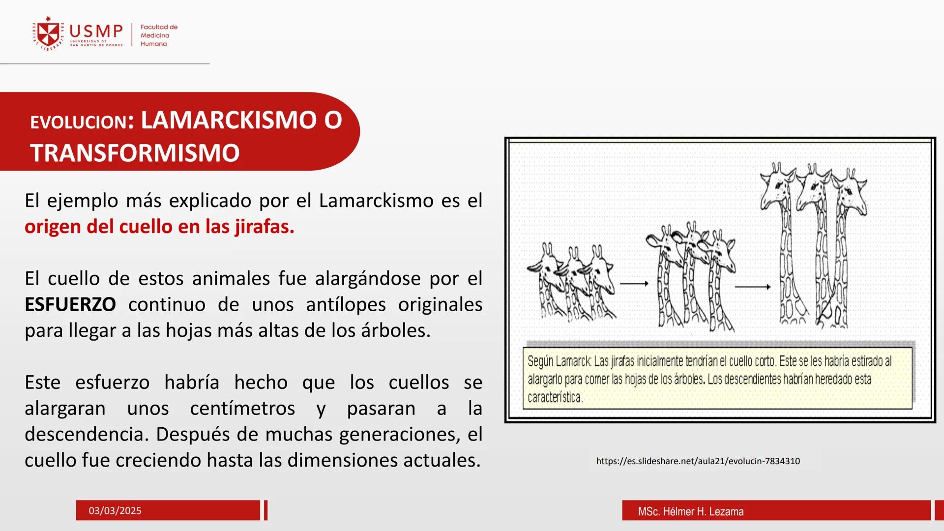 # ORIGEN DE LA VIDA, EVOLUCIÓN,
# NIVELES DE ORGANIZACIÓN Y
# CLASIFICACIÓN DE LOS SERES VIVOS
Introducción a la Biología
03/03/2025
Msc.