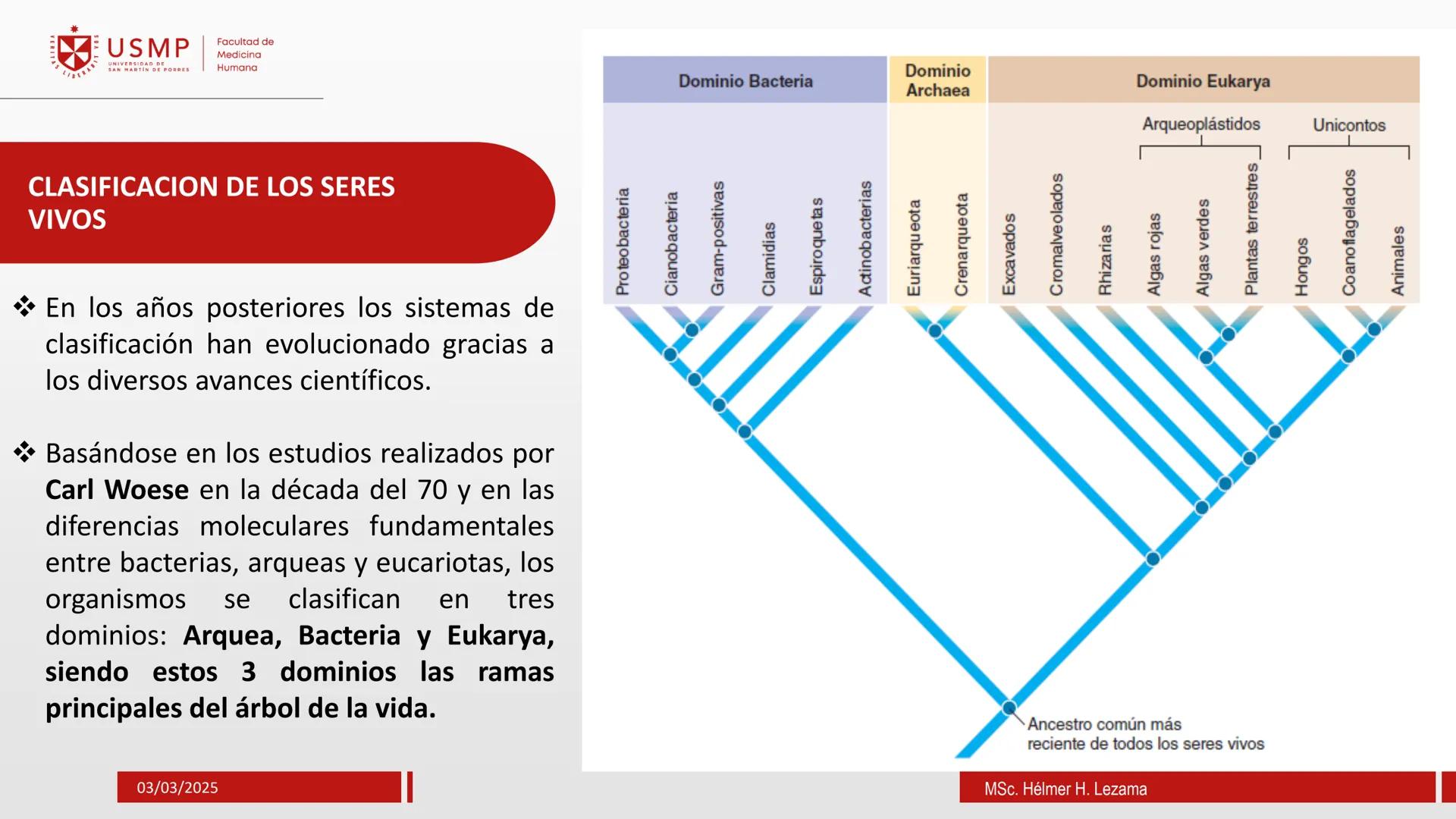 # ORIGEN DE LA VIDA, EVOLUCIÓN,
# NIVELES DE ORGANIZACIÓN Y
# CLASIFICACIÓN DE LOS SERES VIVOS
Introducción a la Biología
03/03/2025
Msc.