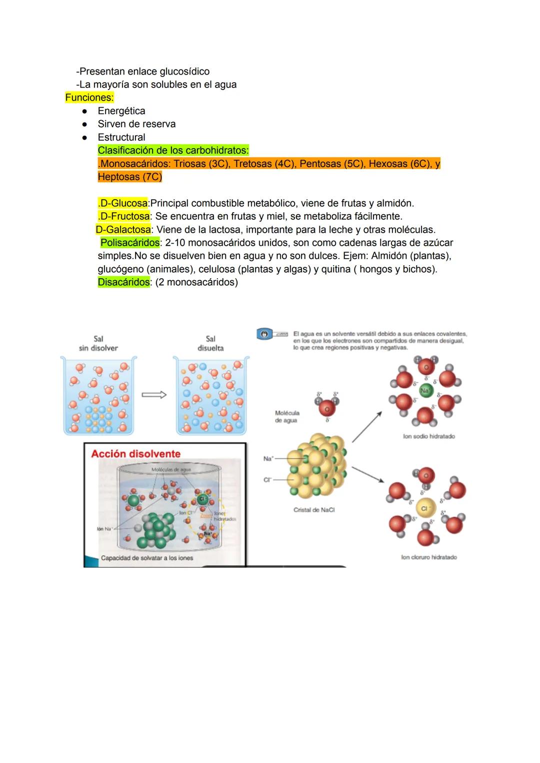 --- OCR Start ---
¿De qué están compuestos los seres vivos?
-Los seres vivos están compuestos por elementos químicos que se juntan formando