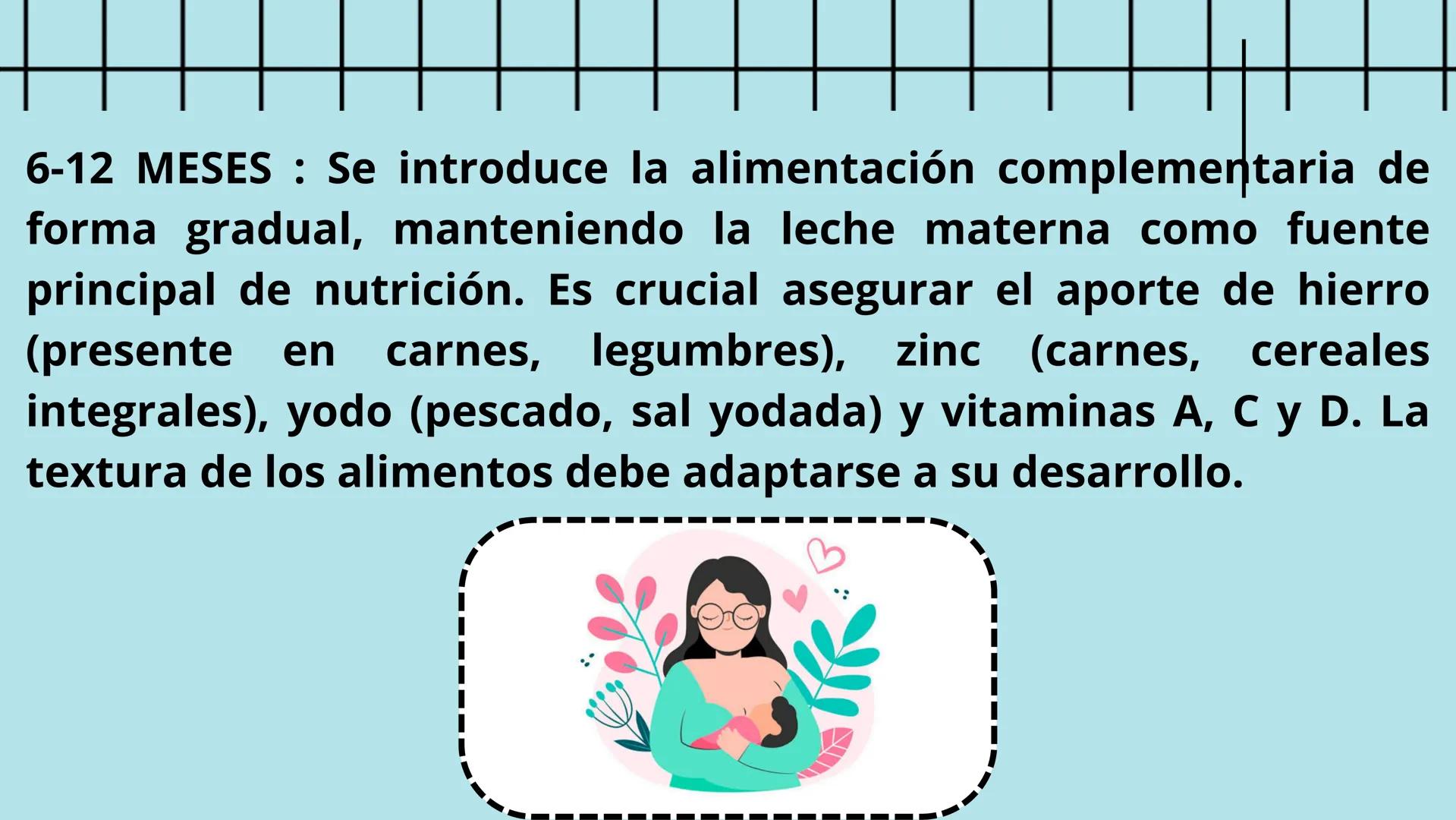 ¿QUÉ SON LOS REQUERIMIENTOS NUTRICIONALES
DE ACUERDO A LA ETAPA EVOLUTIVA?
Son las cantidades específicas de nutrientes esenciales (como vit