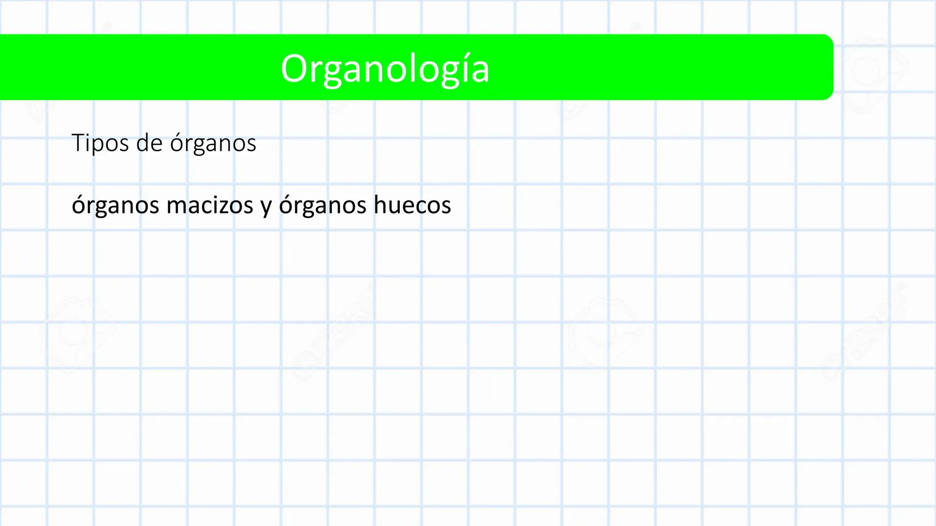 Left-right
Axis
TERMINOLOGÍA ANATÓMICA
DESCRIPTIVA
Craniocaudal Axis
Coronal Plane
(Frontal)
Sagittal Plane
Transve
(A:
Anteroposterior__
Ax