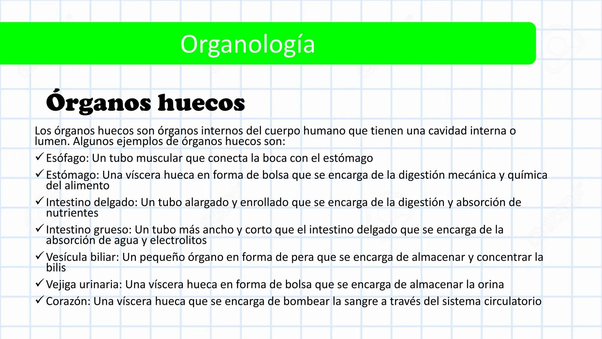 Left-right
Axis
TERMINOLOGÍA ANATÓMICA
DESCRIPTIVA
Craniocaudal Axis
Coronal Plane
(Frontal)
Sagittal Plane
Transve
(A:
Anteroposterior__
Ax