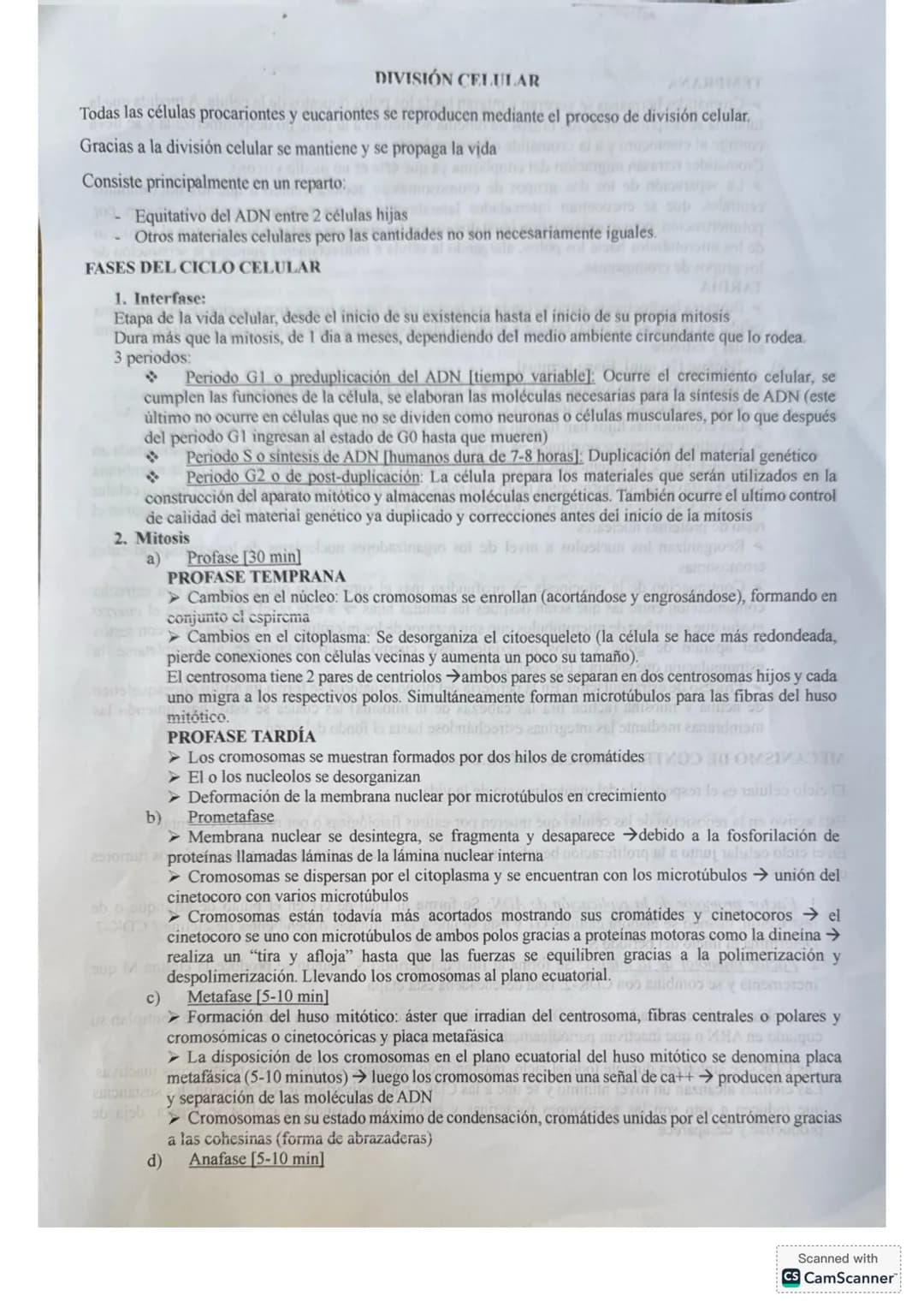 # DIVISIÓN CELULAR
Todas las células procariontes y eucariontes se reproducen mediante el proceso de división celular.
Gracias a la divisió