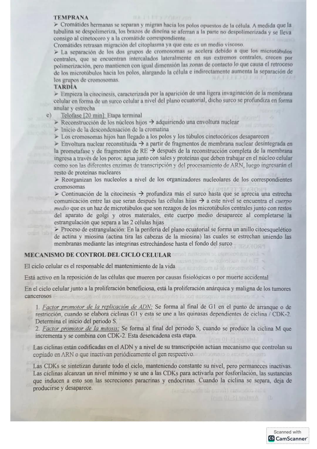 # DIVISIÓN CELULAR
Todas las células procariontes y eucariontes se reproducen mediante el proceso de división celular.
Gracias a la divisió