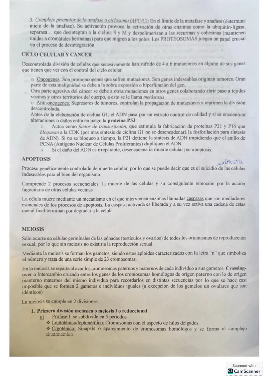 # DIVISIÓN CELULAR
Todas las células procariontes y eucariontes se reproducen mediante el proceso de división celular.
Gracias a la divisió