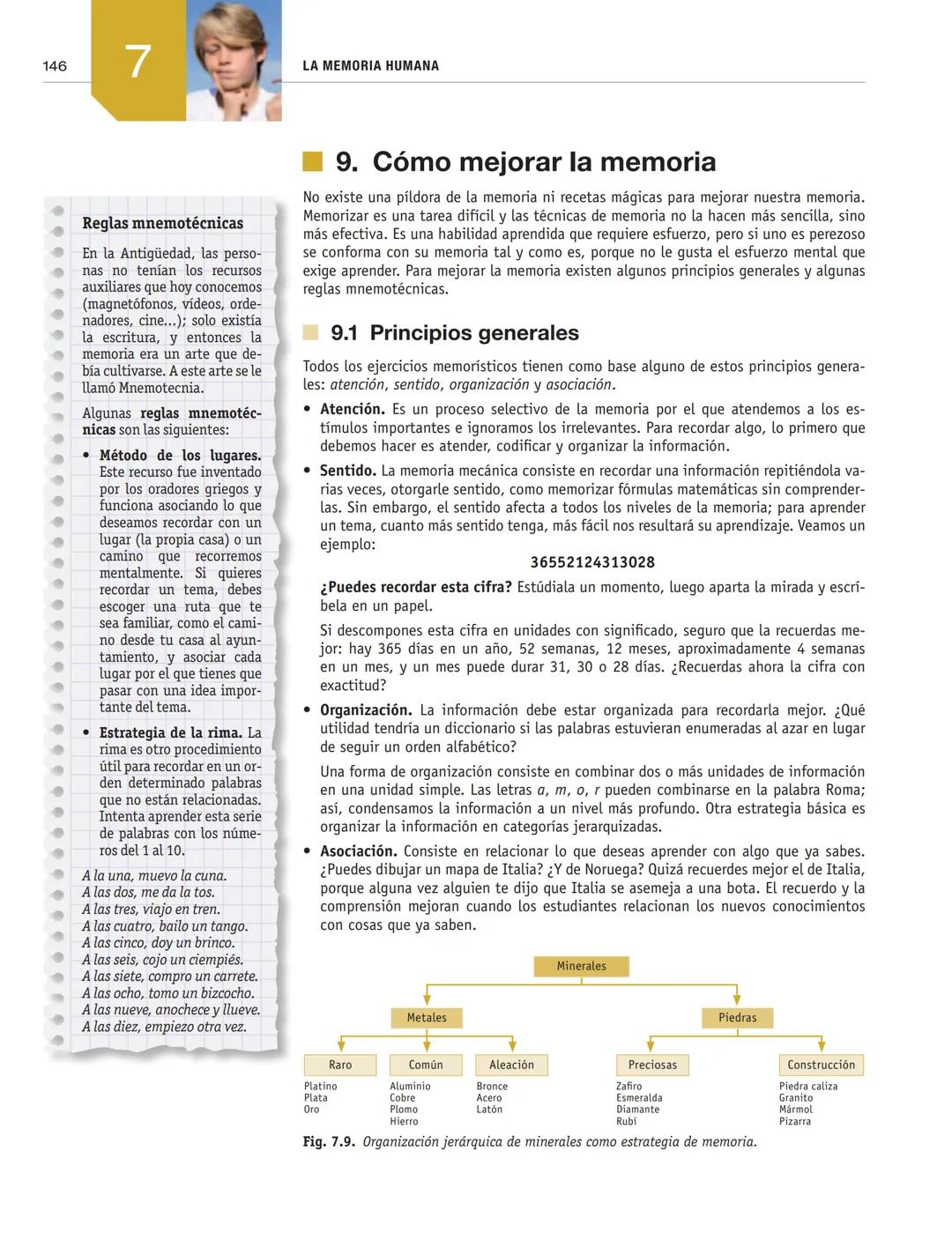 LA MEMORIA HUMANA
7
1. El misterio de la memoria
■2. Neuropsicología de la memoria
■3. Procesos básicos de la memoria
4. Estructura y funcio
