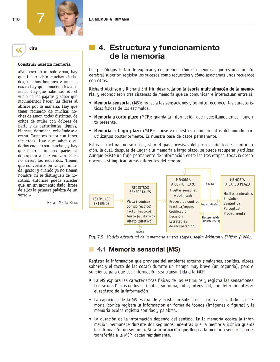 LA MEMORIA HUMANA
7
1. El misterio de la memoria
■2. Neuropsicología de la memoria
■3. Procesos básicos de la memoria
4. Estructura y funcio