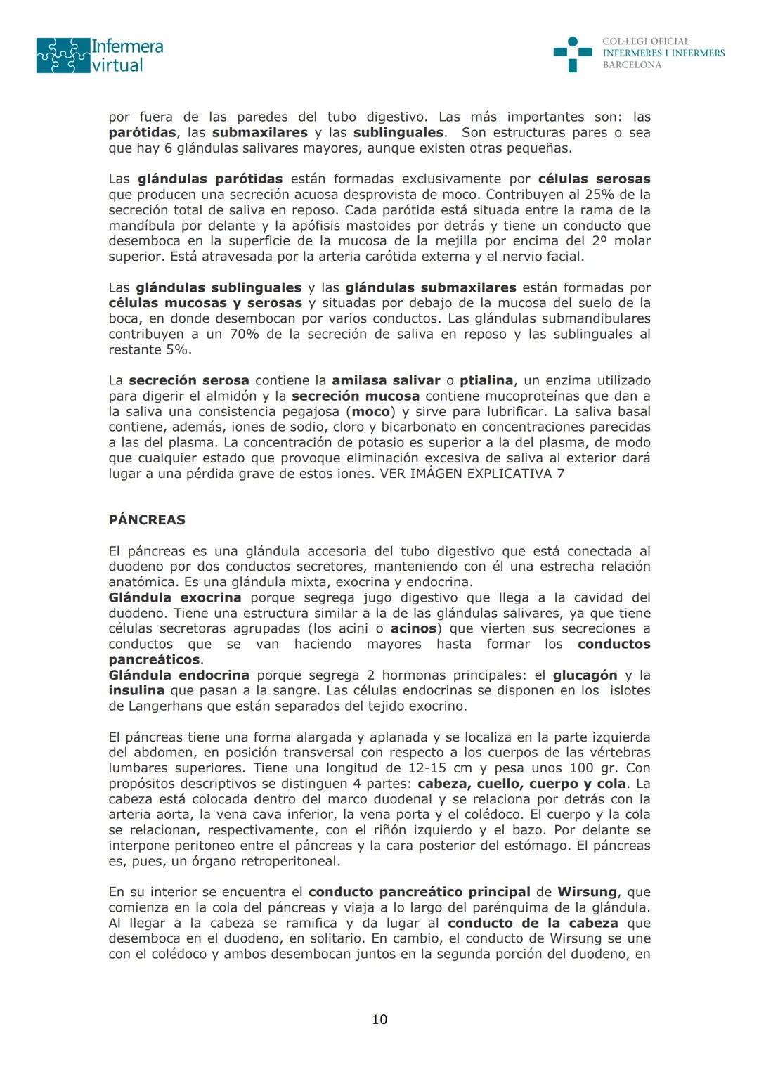 --- OCR Start ---
Infermera
virtual
DOCUMENTO ORIGINAL DE LA AUTORA
COL·LEGI OFICIAL
INFERMERES I INFERMERS
BARCELONA
SISTEMA DIGESTIVO: