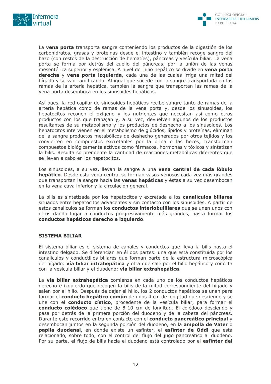 --- OCR Start ---
Infermera
virtual
DOCUMENTO ORIGINAL DE LA AUTORA
COL·LEGI OFICIAL
INFERMERES I INFERMERS
BARCELONA
SISTEMA DIGESTIVO: