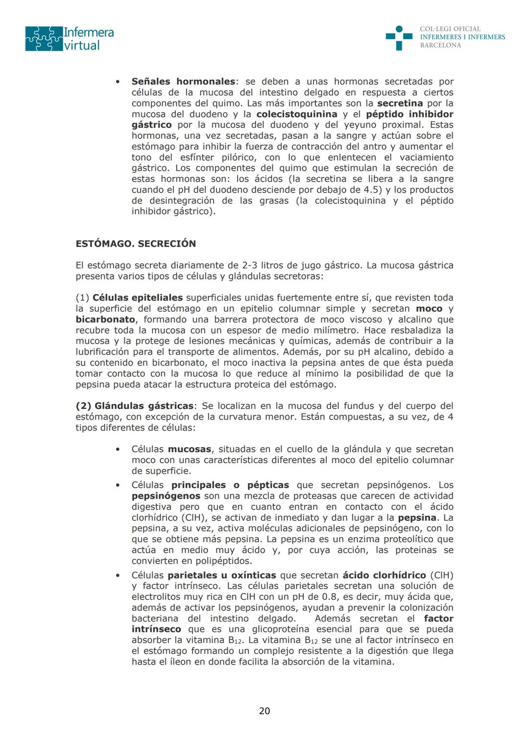 --- OCR Start ---
Infermera
virtual
DOCUMENTO ORIGINAL DE LA AUTORA
COL·LEGI OFICIAL
INFERMERES I INFERMERS
BARCELONA
SISTEMA DIGESTIVO: