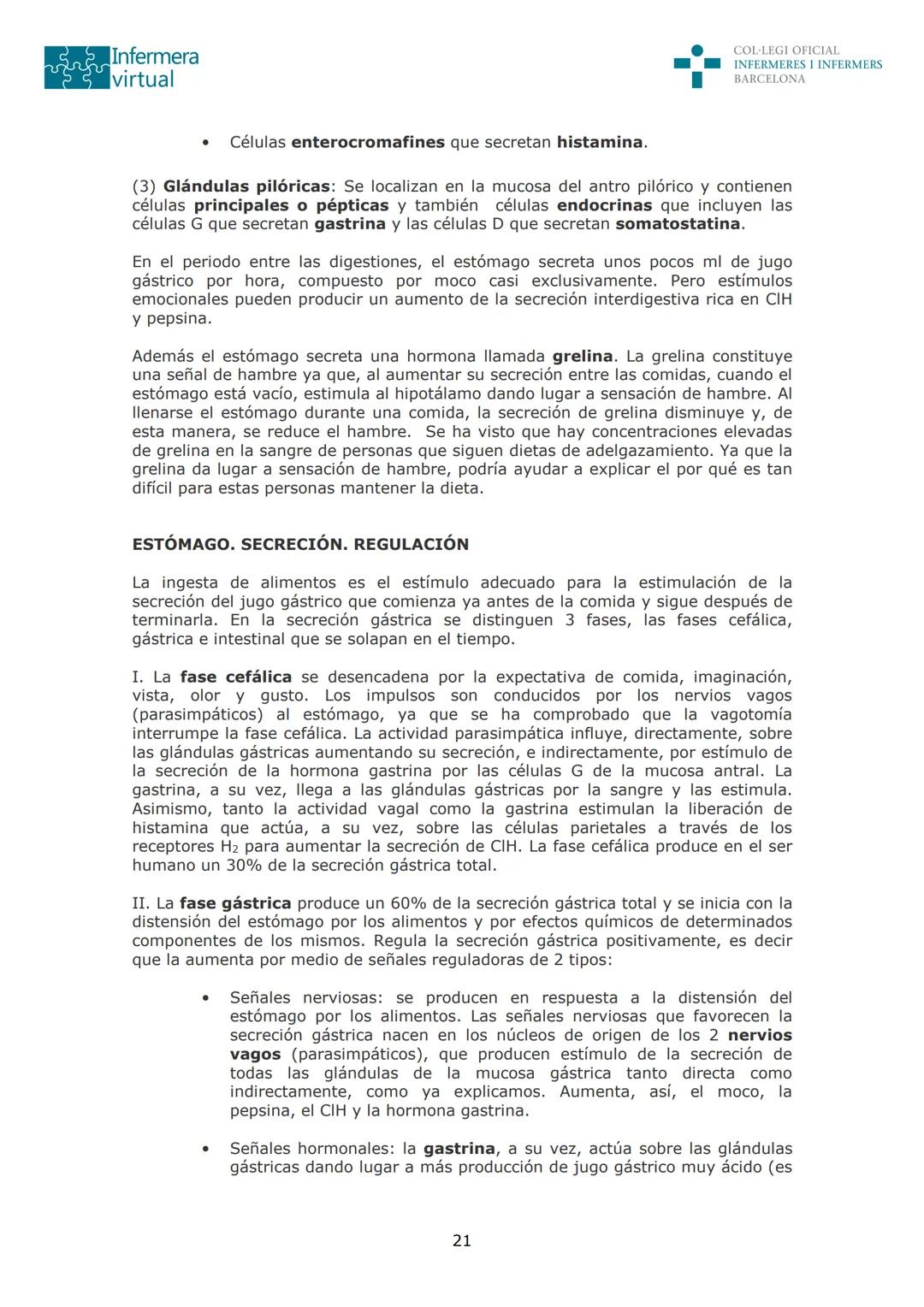 --- OCR Start ---
Infermera
virtual
DOCUMENTO ORIGINAL DE LA AUTORA
COL·LEGI OFICIAL
INFERMERES I INFERMERS
BARCELONA
SISTEMA DIGESTIVO: