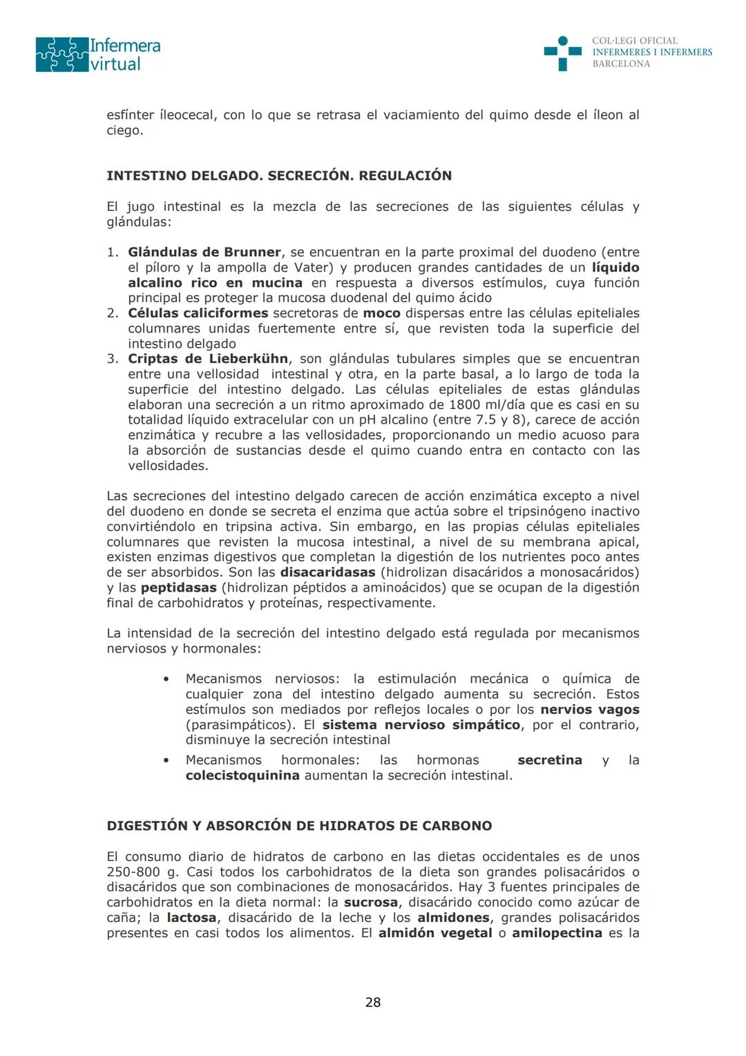 --- OCR Start ---
Infermera
virtual
DOCUMENTO ORIGINAL DE LA AUTORA
COL·LEGI OFICIAL
INFERMERES I INFERMERS
BARCELONA
SISTEMA DIGESTIVO: