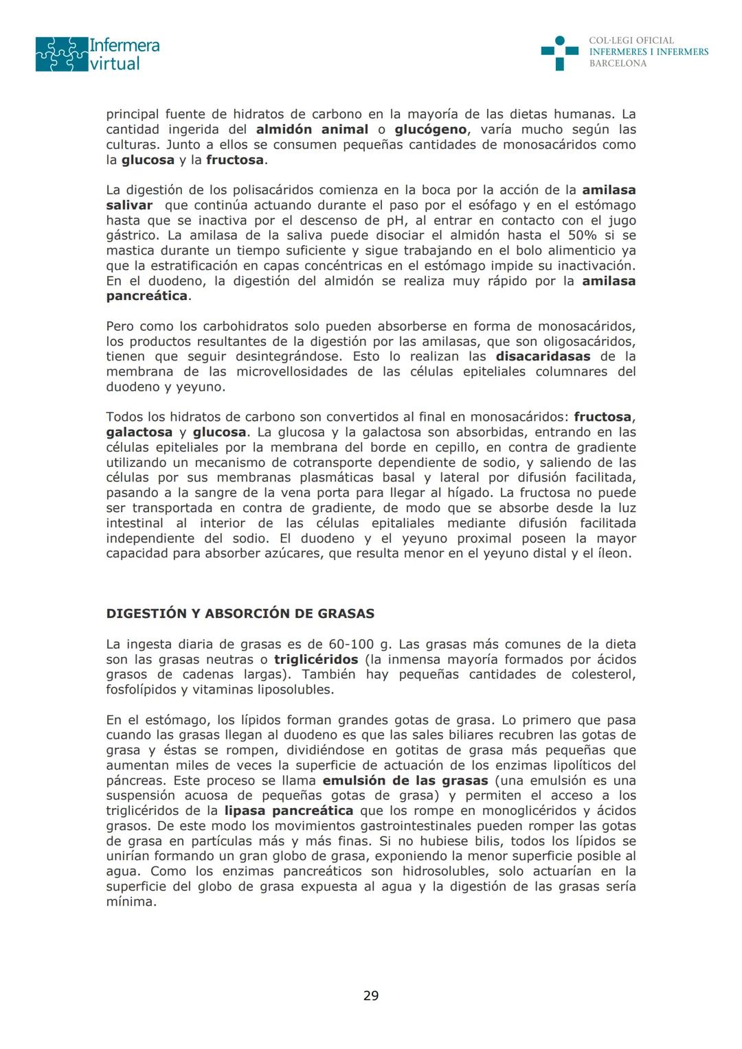 --- OCR Start ---
Infermera
virtual
DOCUMENTO ORIGINAL DE LA AUTORA
COL·LEGI OFICIAL
INFERMERES I INFERMERS
BARCELONA
SISTEMA DIGESTIVO: