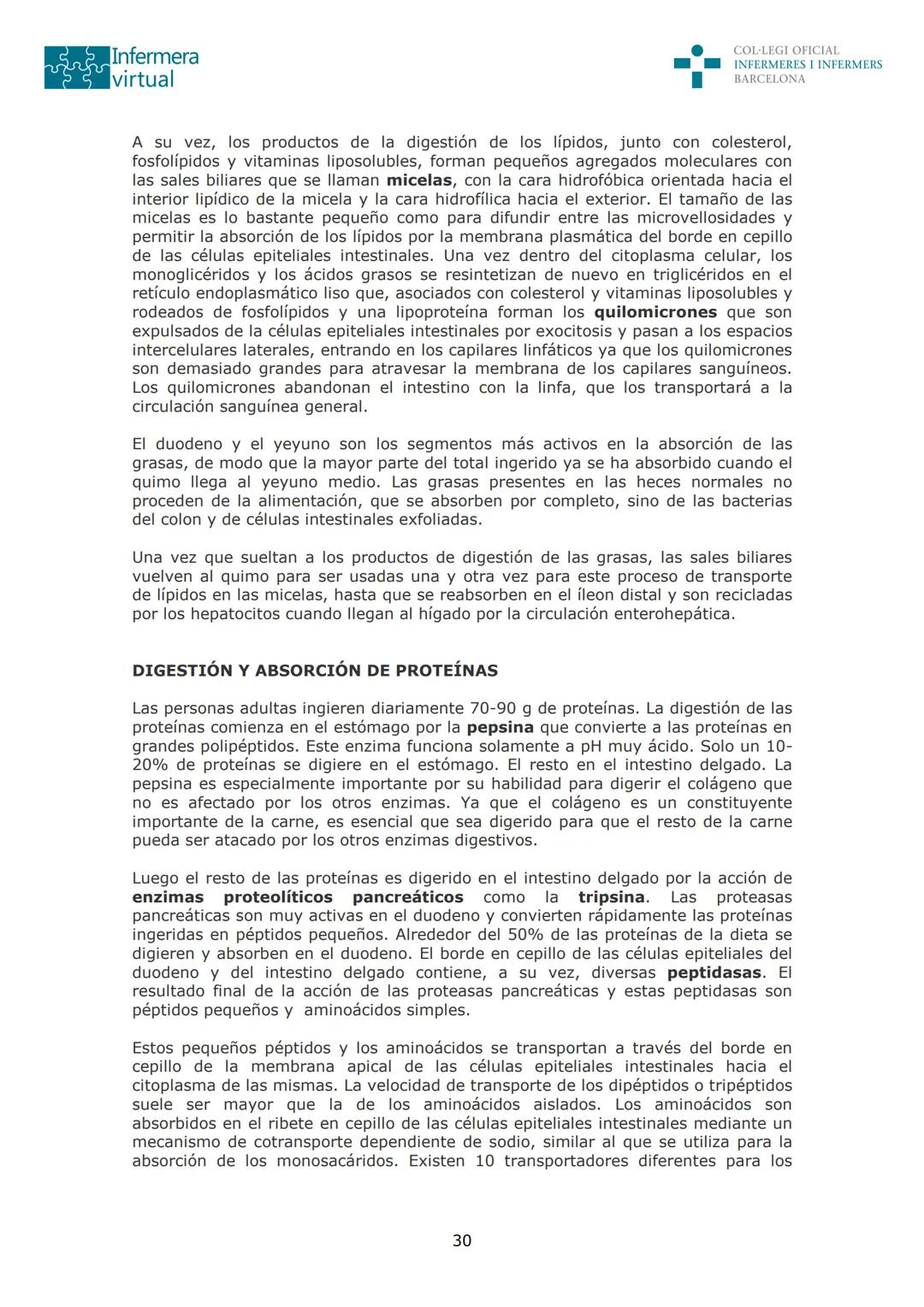 --- OCR Start ---
Infermera
virtual
DOCUMENTO ORIGINAL DE LA AUTORA
COL·LEGI OFICIAL
INFERMERES I INFERMERS
BARCELONA
SISTEMA DIGESTIVO: