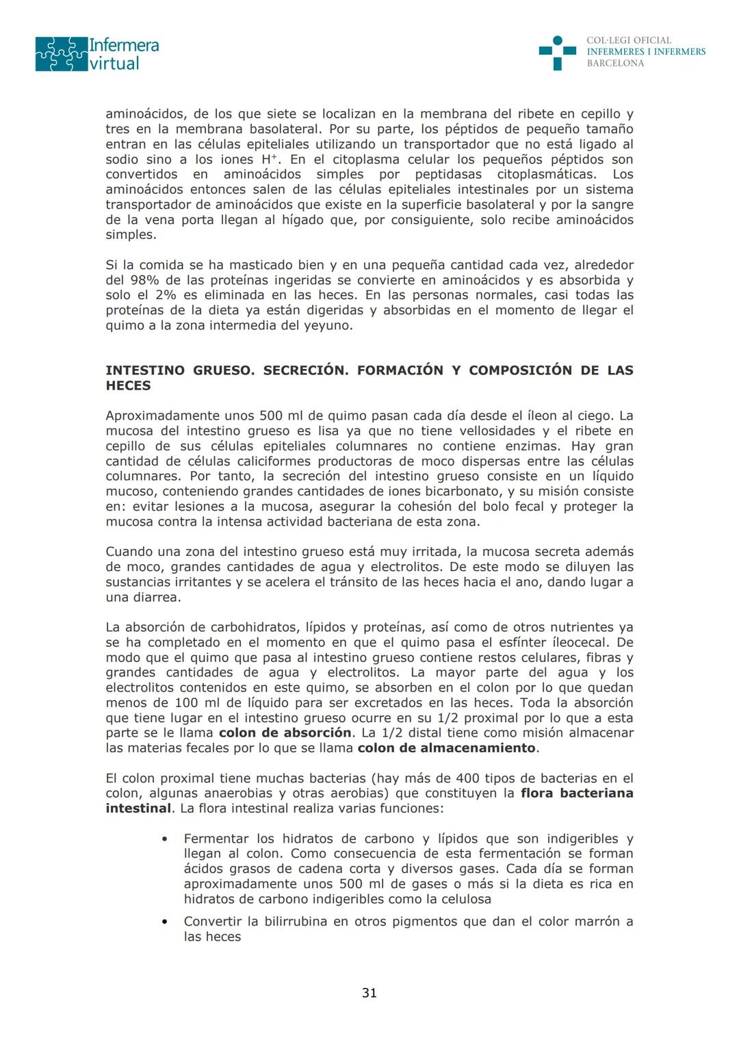 --- OCR Start ---
Infermera
virtual
DOCUMENTO ORIGINAL DE LA AUTORA
COL·LEGI OFICIAL
INFERMERES I INFERMERS
BARCELONA
SISTEMA DIGESTIVO: