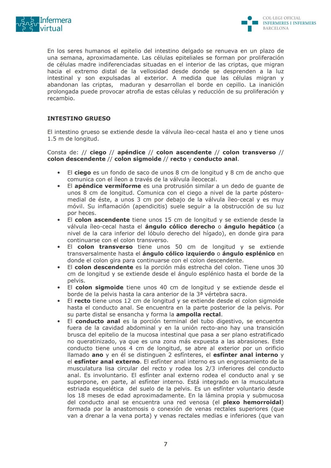 --- OCR Start ---
Infermera
virtual
DOCUMENTO ORIGINAL DE LA AUTORA
COL·LEGI OFICIAL
INFERMERES I INFERMERS
BARCELONA
SISTEMA DIGESTIVO: