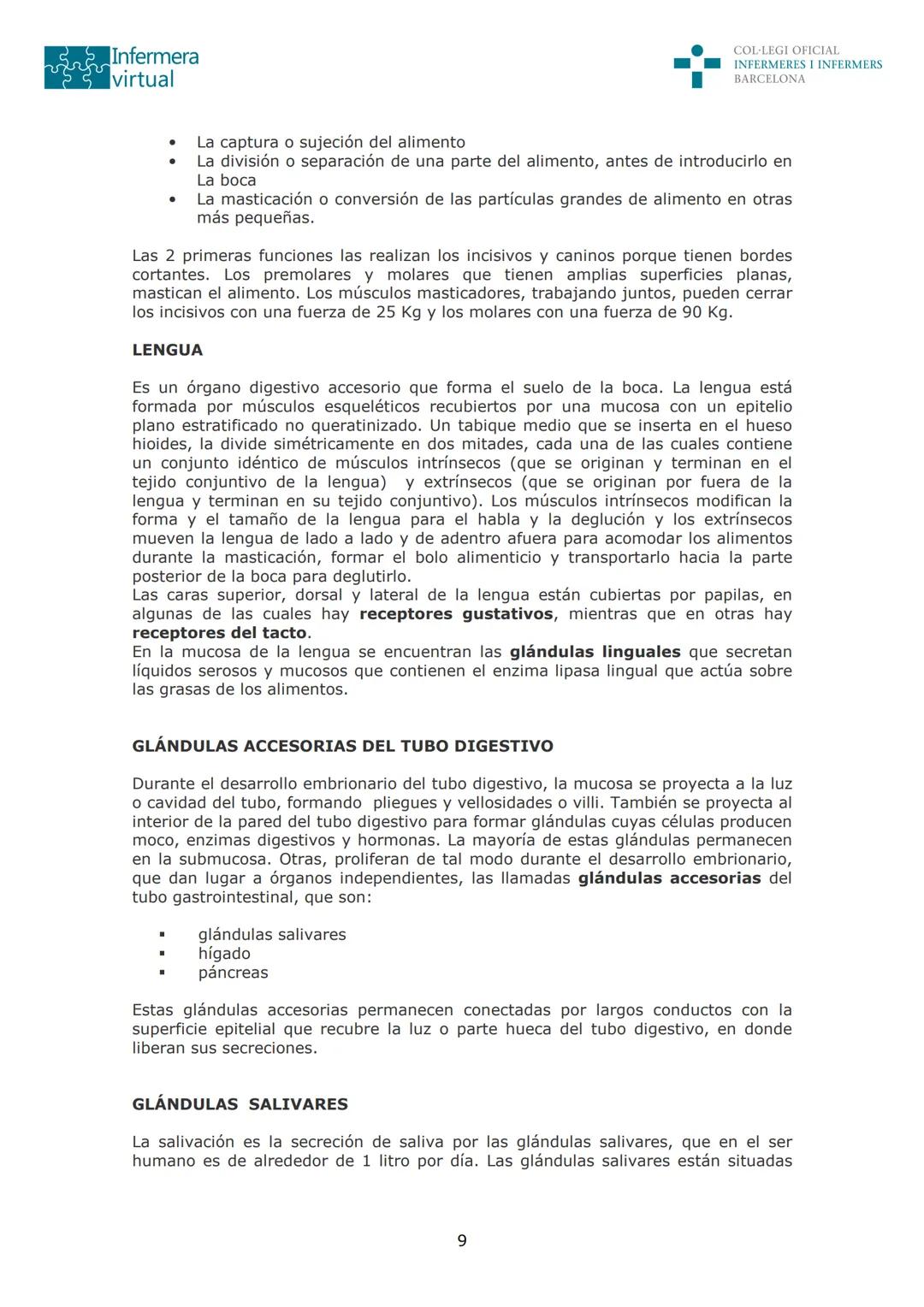 --- OCR Start ---
Infermera
virtual
DOCUMENTO ORIGINAL DE LA AUTORA
COL·LEGI OFICIAL
INFERMERES I INFERMERS
BARCELONA
SISTEMA DIGESTIVO: