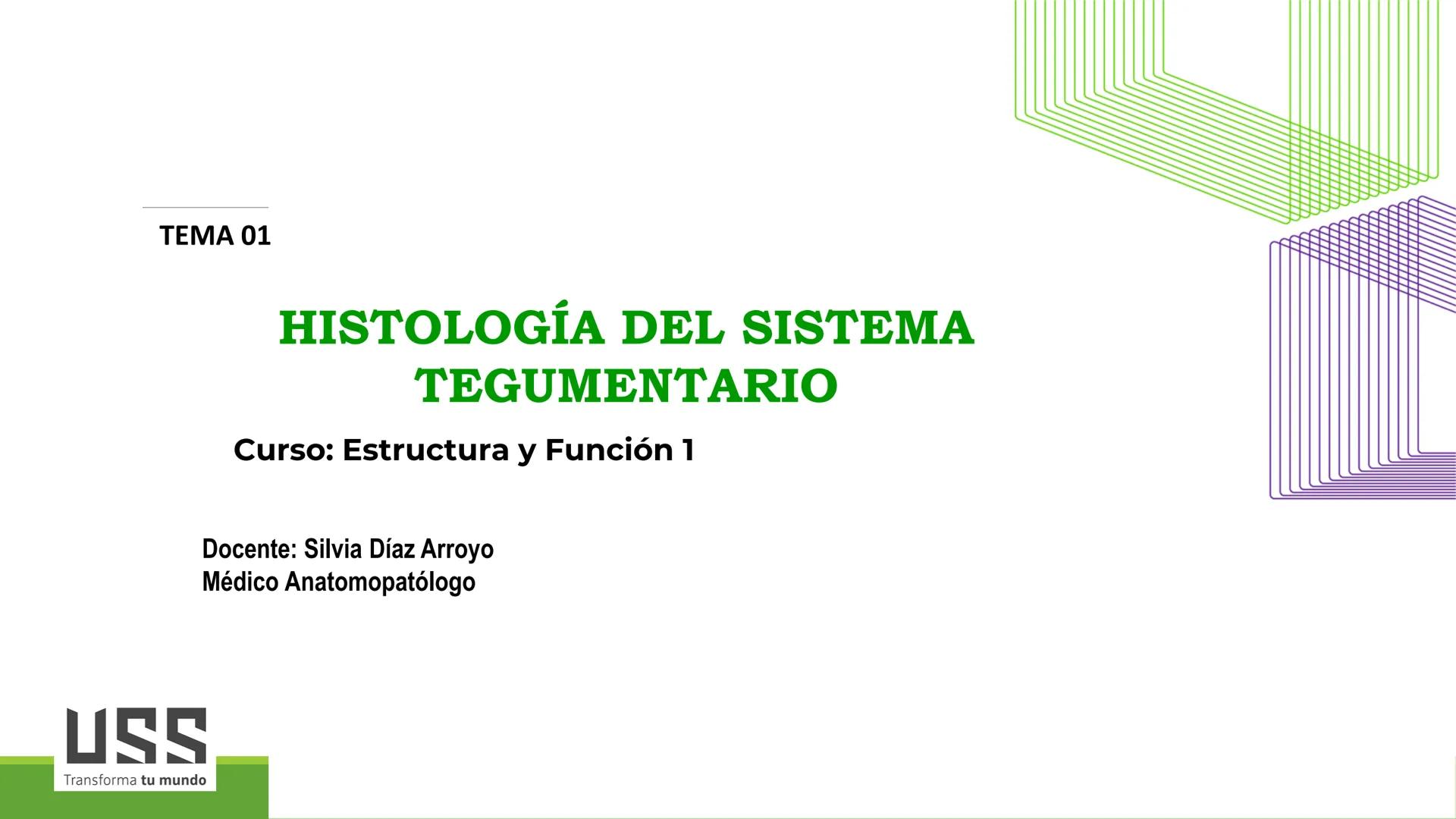 TRANSFORMA TU MUNDO EN
LA U MAS TOP DE LA REGIÓN. TEMA 01
HISTOLOGÍA DEL SISTEMA
TEGUMENTARIO
Curso: Estructura y Función 1
Docente: Silv