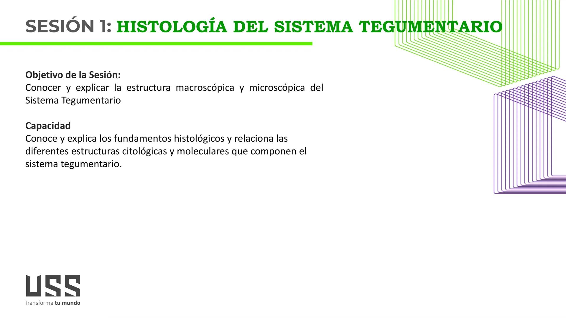 TRANSFORMA TU MUNDO EN
LA U MAS TOP DE LA REGIÓN. TEMA 01
HISTOLOGÍA DEL SISTEMA
TEGUMENTARIO
Curso: Estructura y Función 1
Docente: Silv
