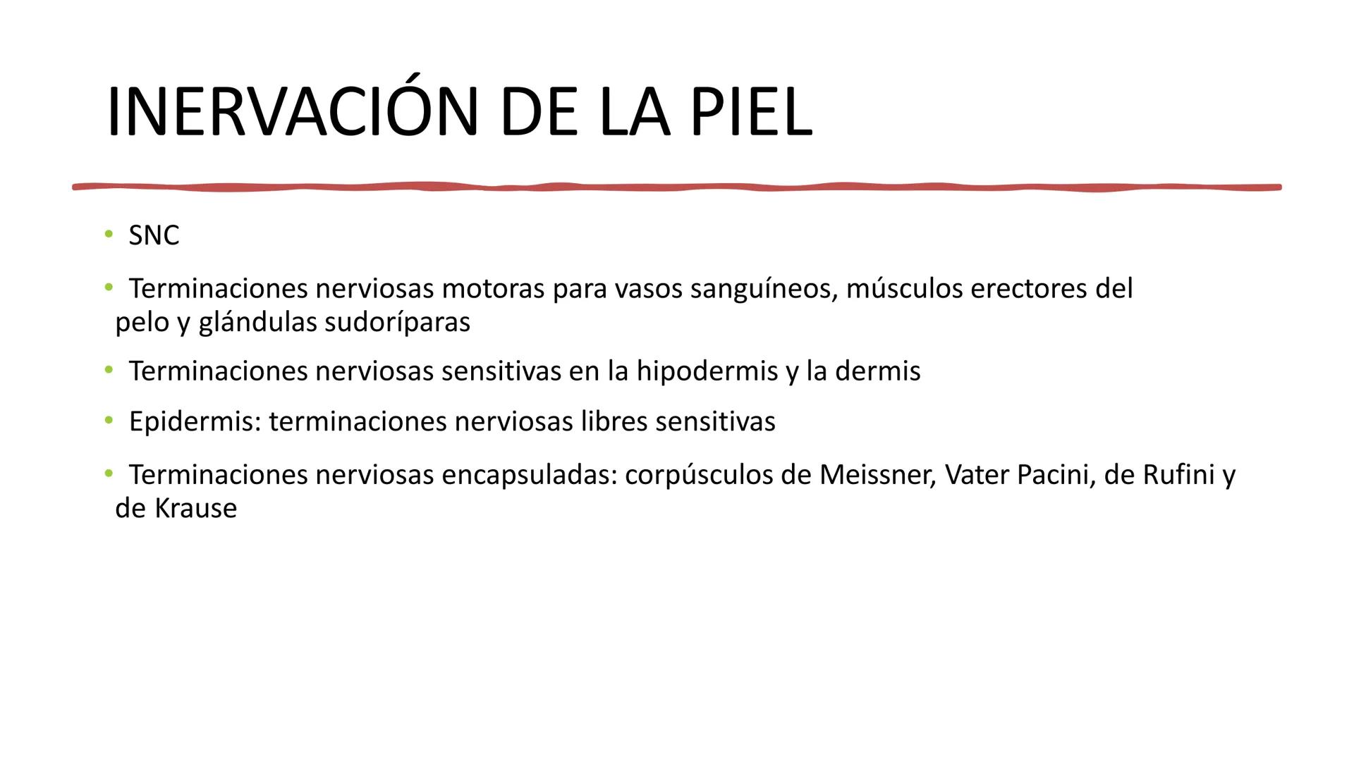 TRANSFORMA TU MUNDO EN
LA U MAS TOP DE LA REGIÓN. TEMA 01
HISTOLOGÍA DEL SISTEMA
TEGUMENTARIO
Curso: Estructura y Función 1
Docente: Silv