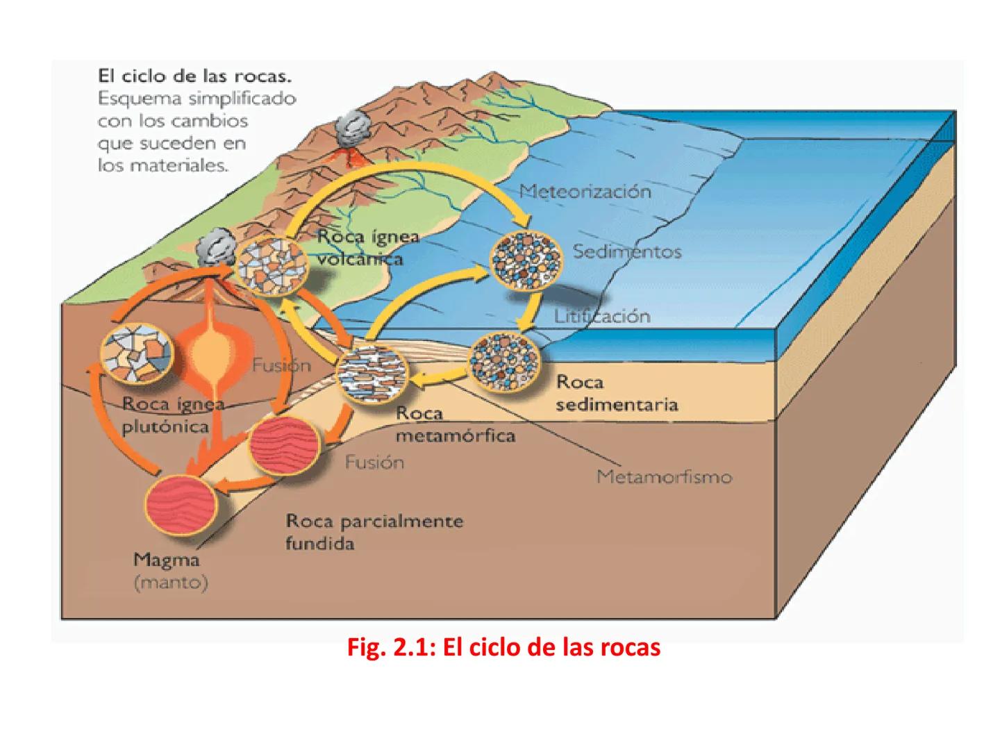 CAPÍTULO II
PROCESOS SEDIMENTARIOS
2.1.- Definición: Son aquellos procesos geológicos que contribuyen a la
formación de un sedimento, y aunq