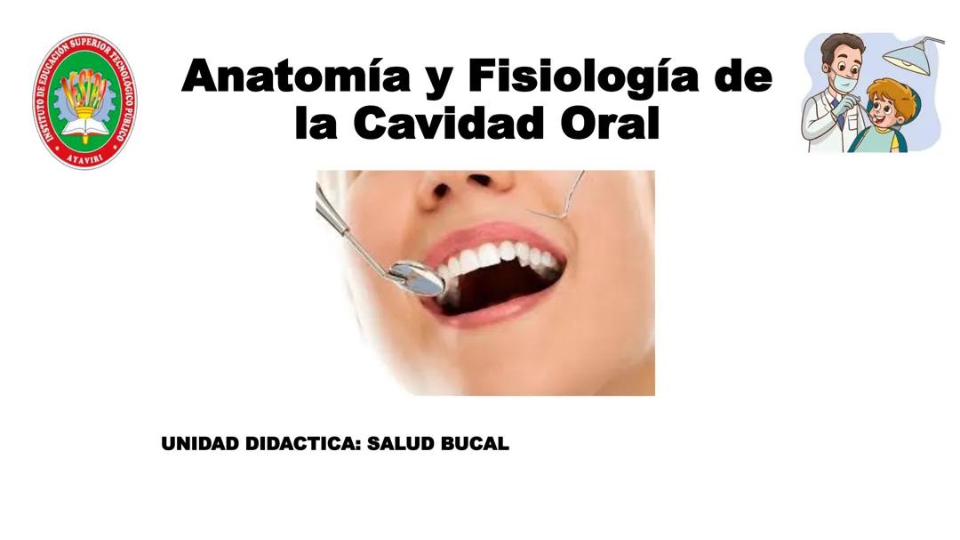 Anatomía y fisiológica de la cavidad oral