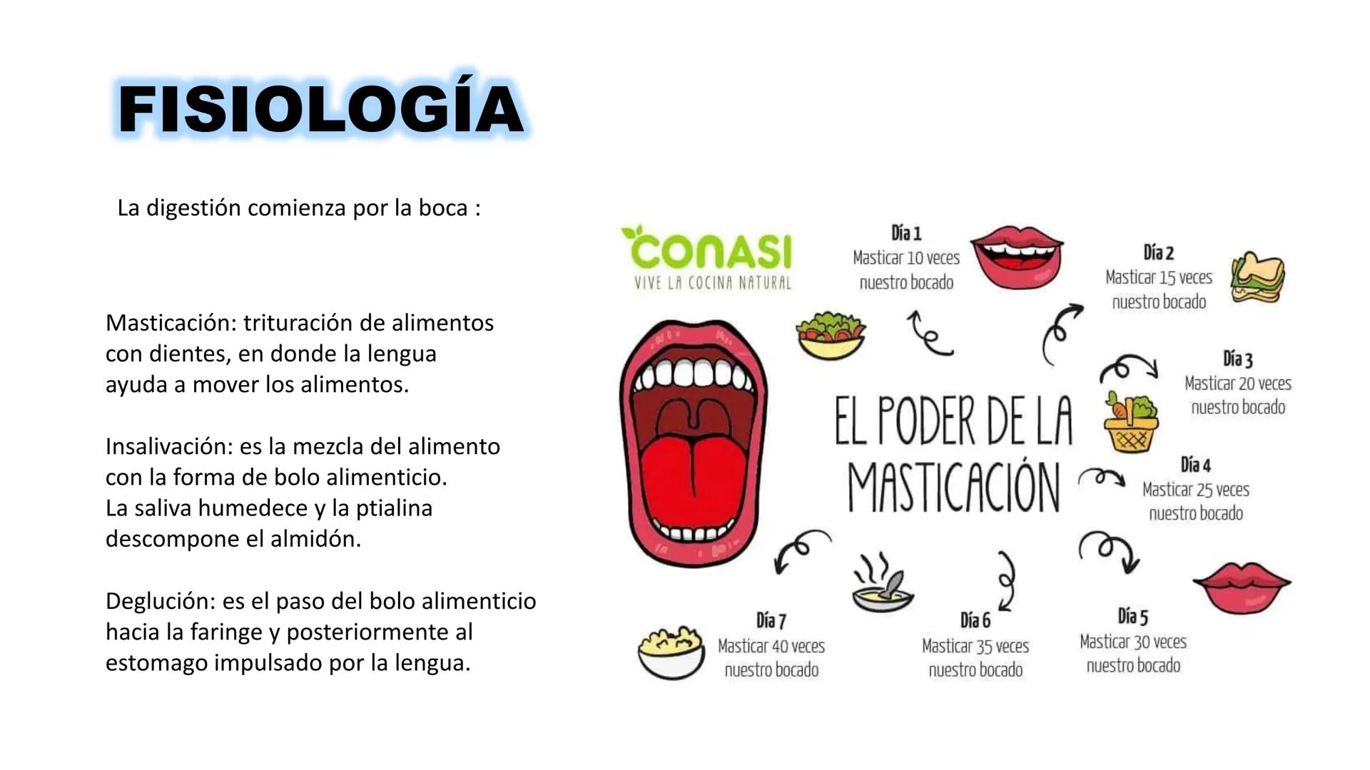 INSTITUTO
DE EDUCACION SUPERIOR TECNOLOGICO PUBLICO
* AYAVIRI *
Anatomía y Fisiología de
la Cavidad Oral
UNIDAD DIDACTICA: SALUD BUCAL # 1.